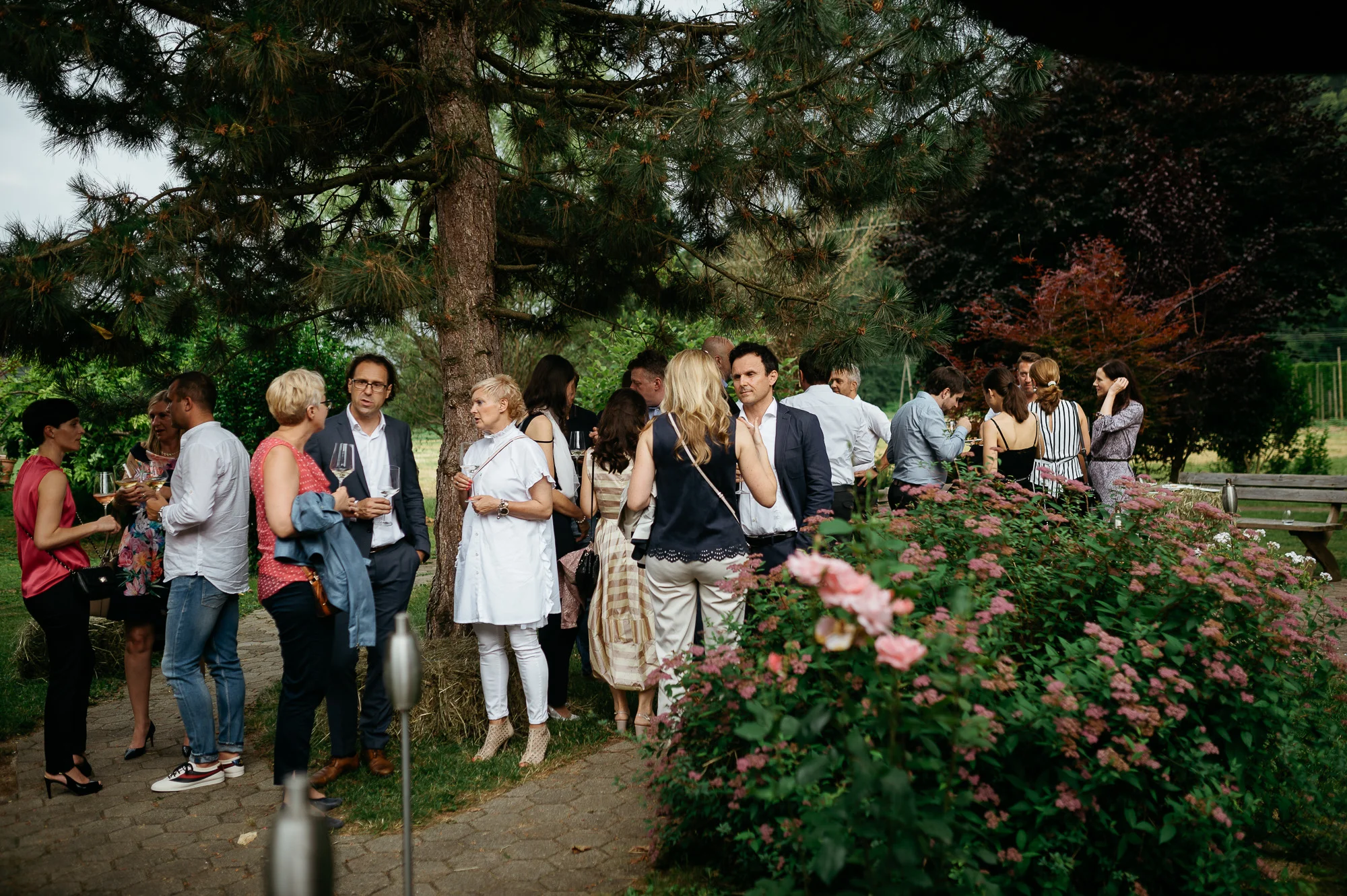 DSC_0512 - 2000px.JPG