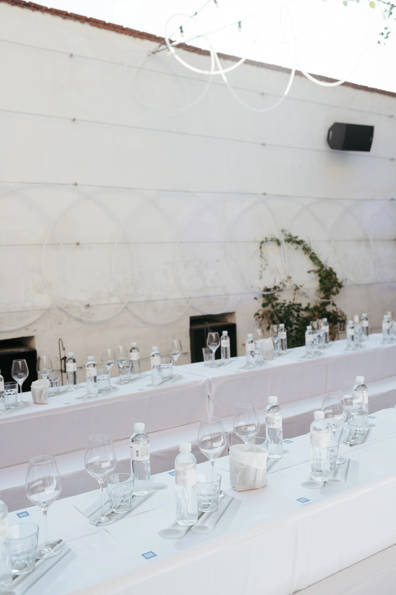 DSC_0378 - 2048px.JPG