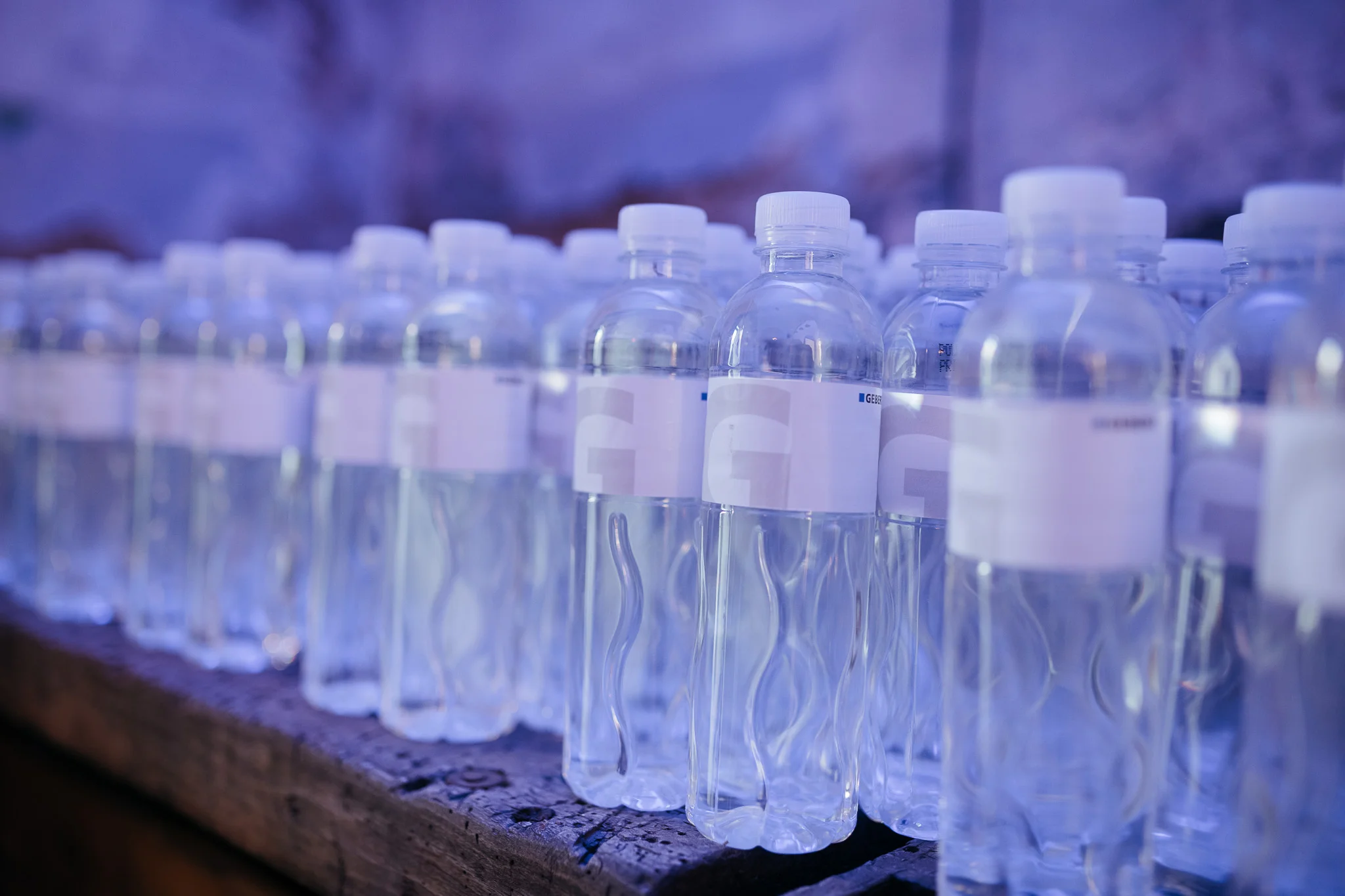 DSC_0428 - 2048px.JPG