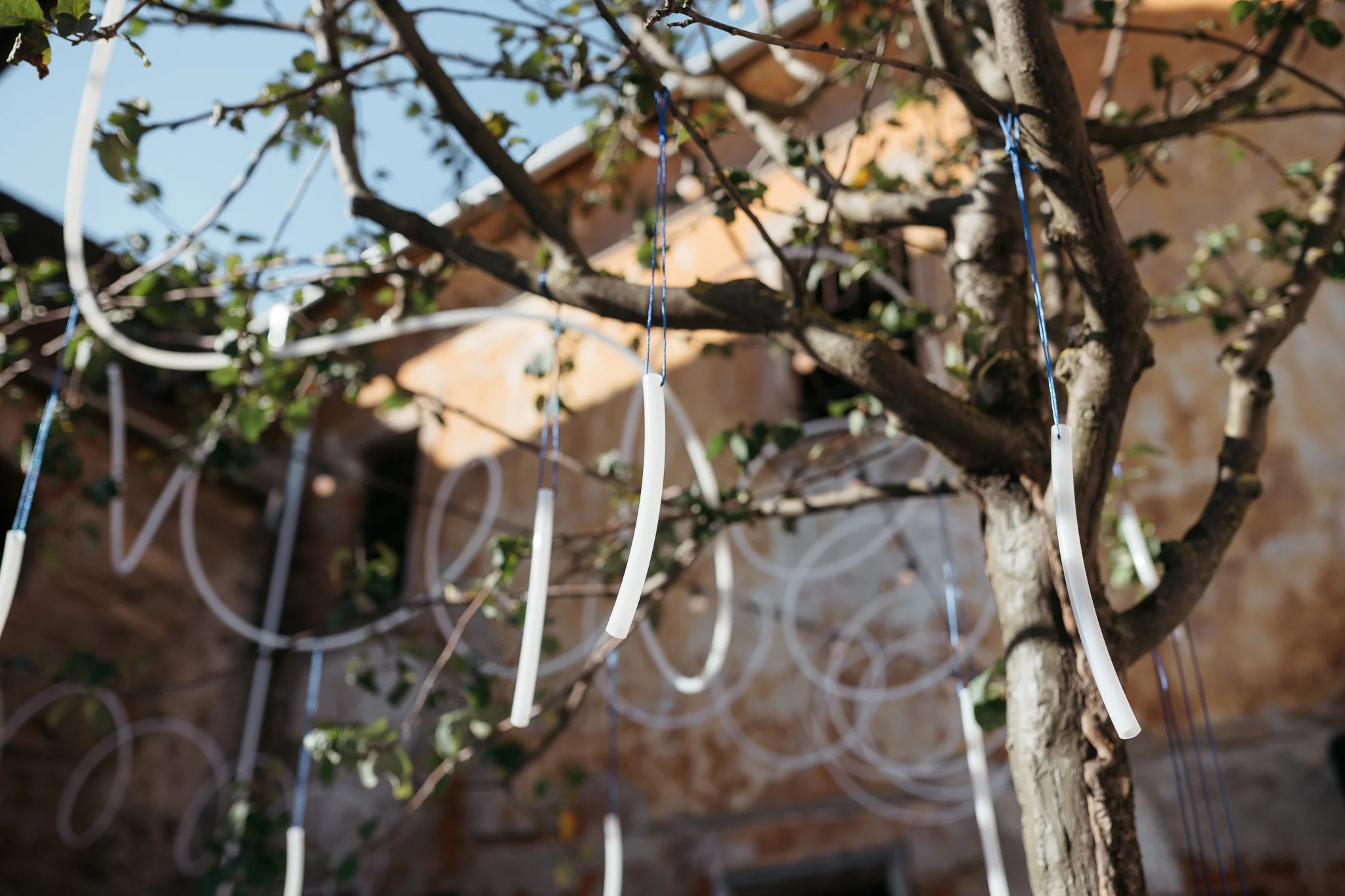 DSC_0448 - 2048px.JPG