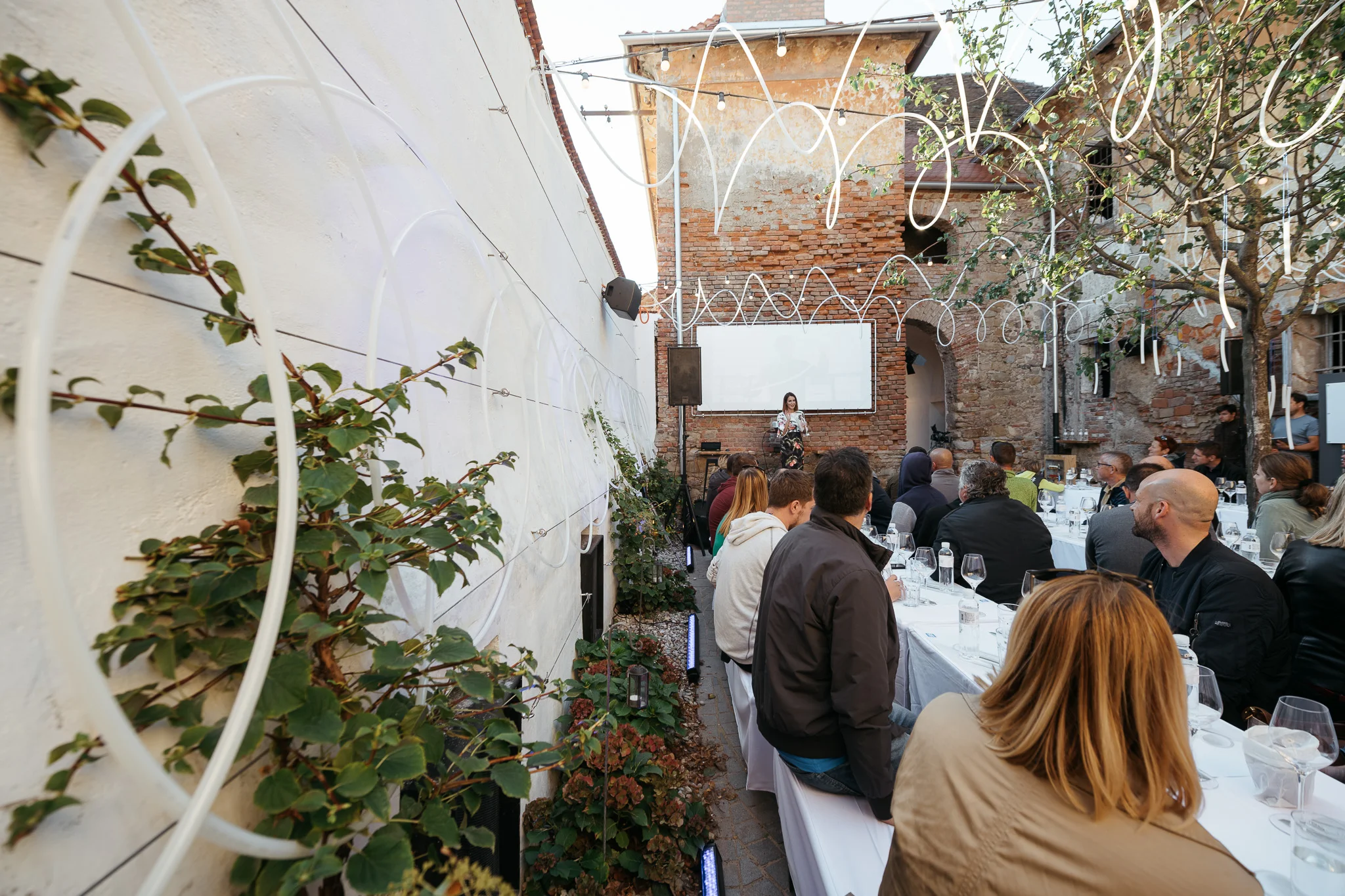 DSC_1118 - 2048px.JPG