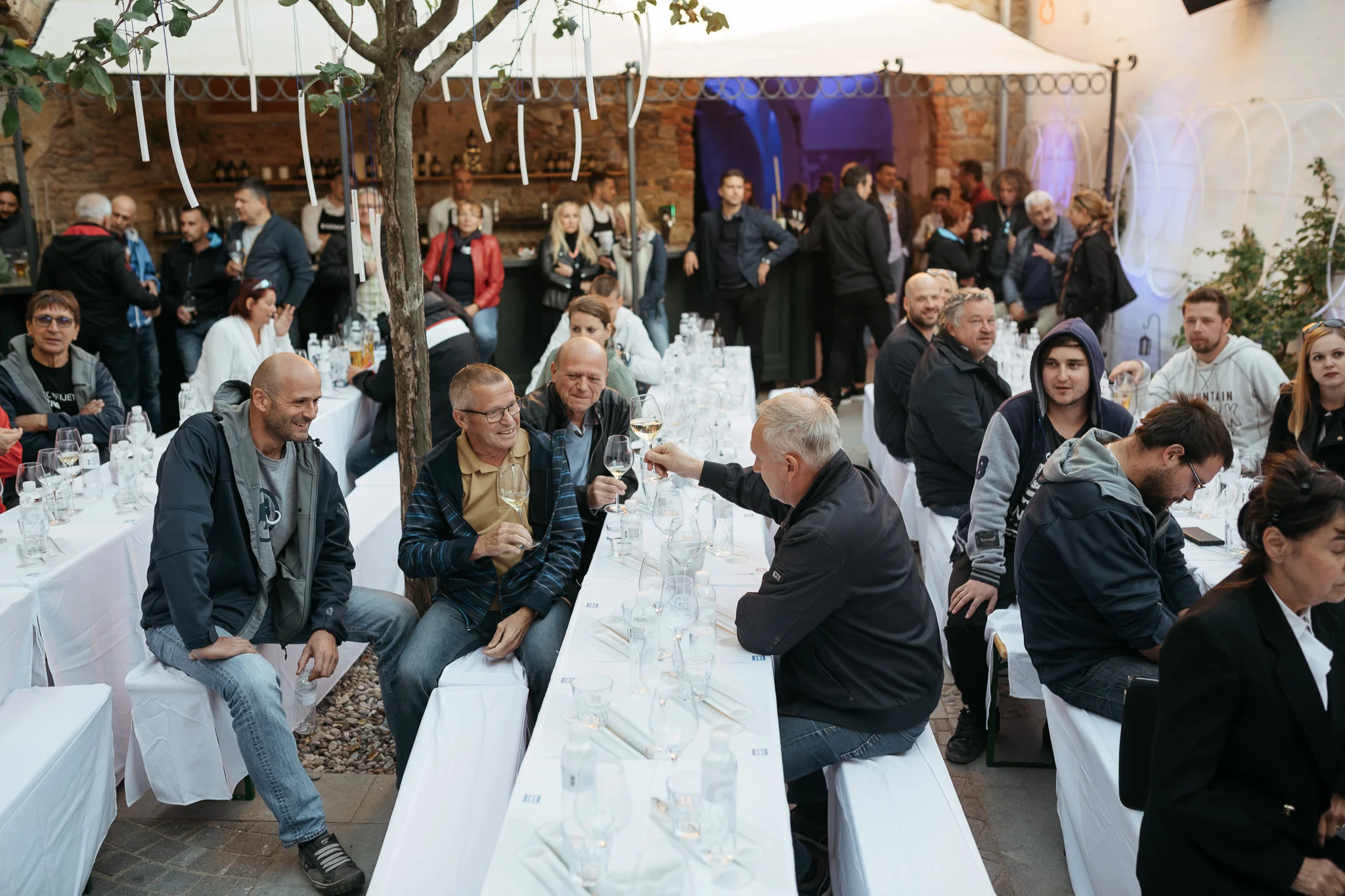 DSC_1560 - 2048px.JPG