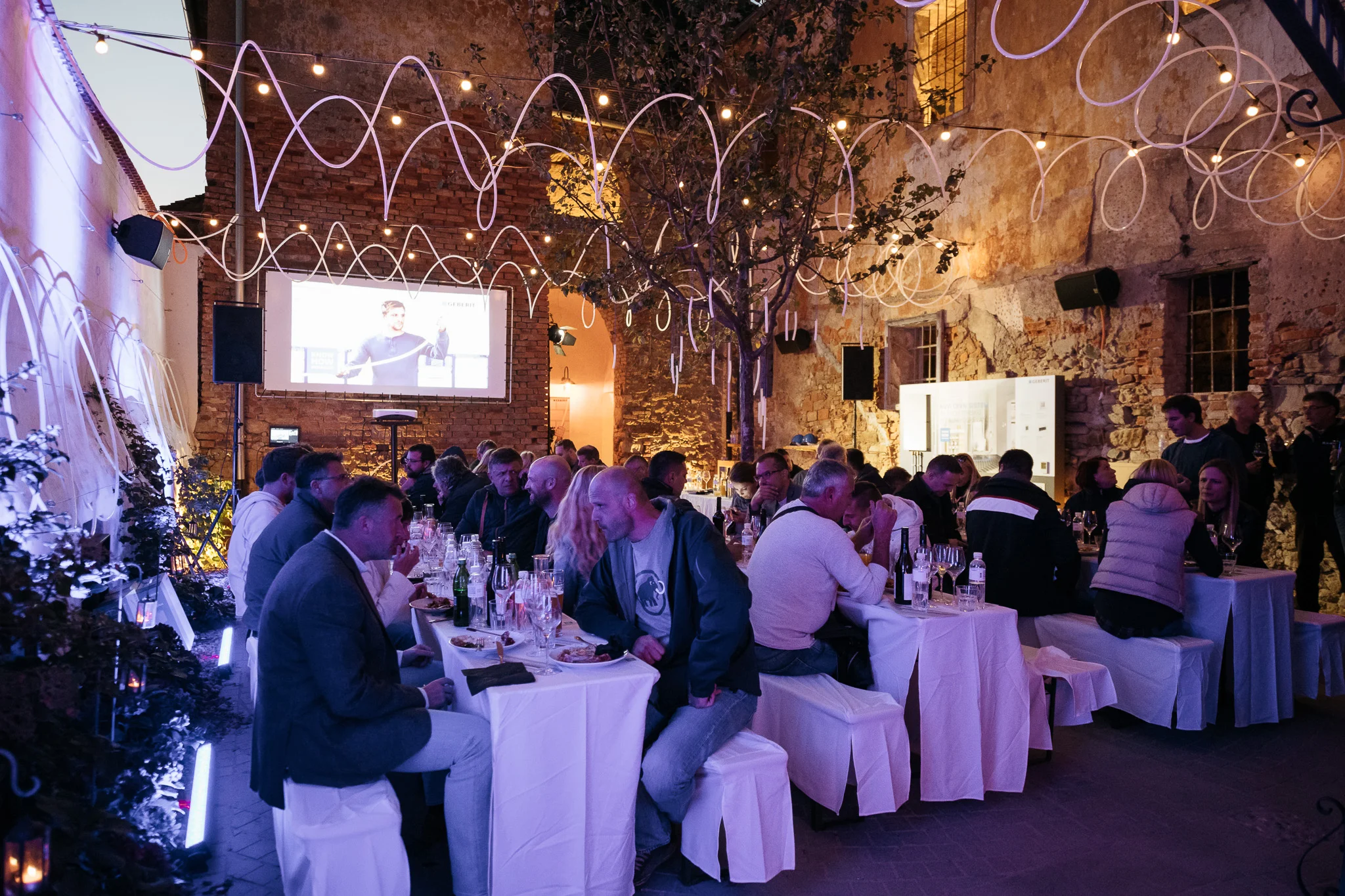 DSC_1884 - 2048px.JPG