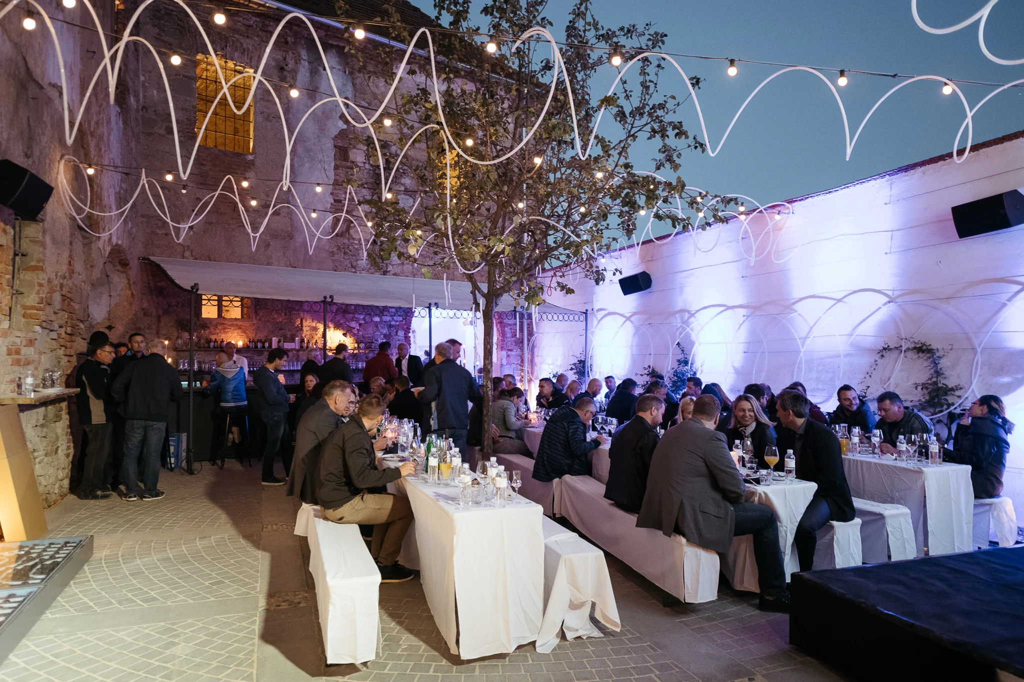 DSC_1892 - 2048px.JPG