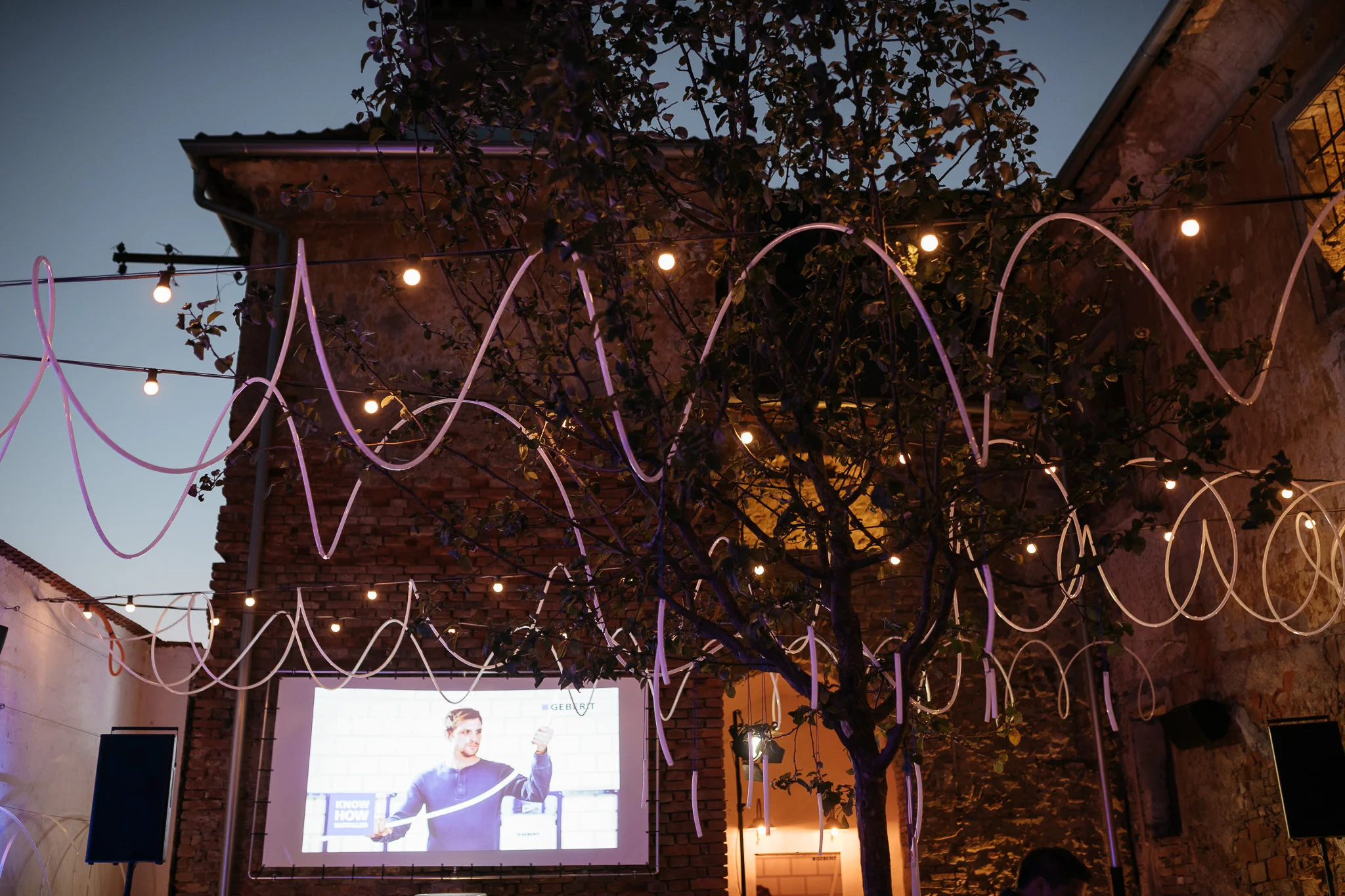 DSC_1900 - 2048px.JPG