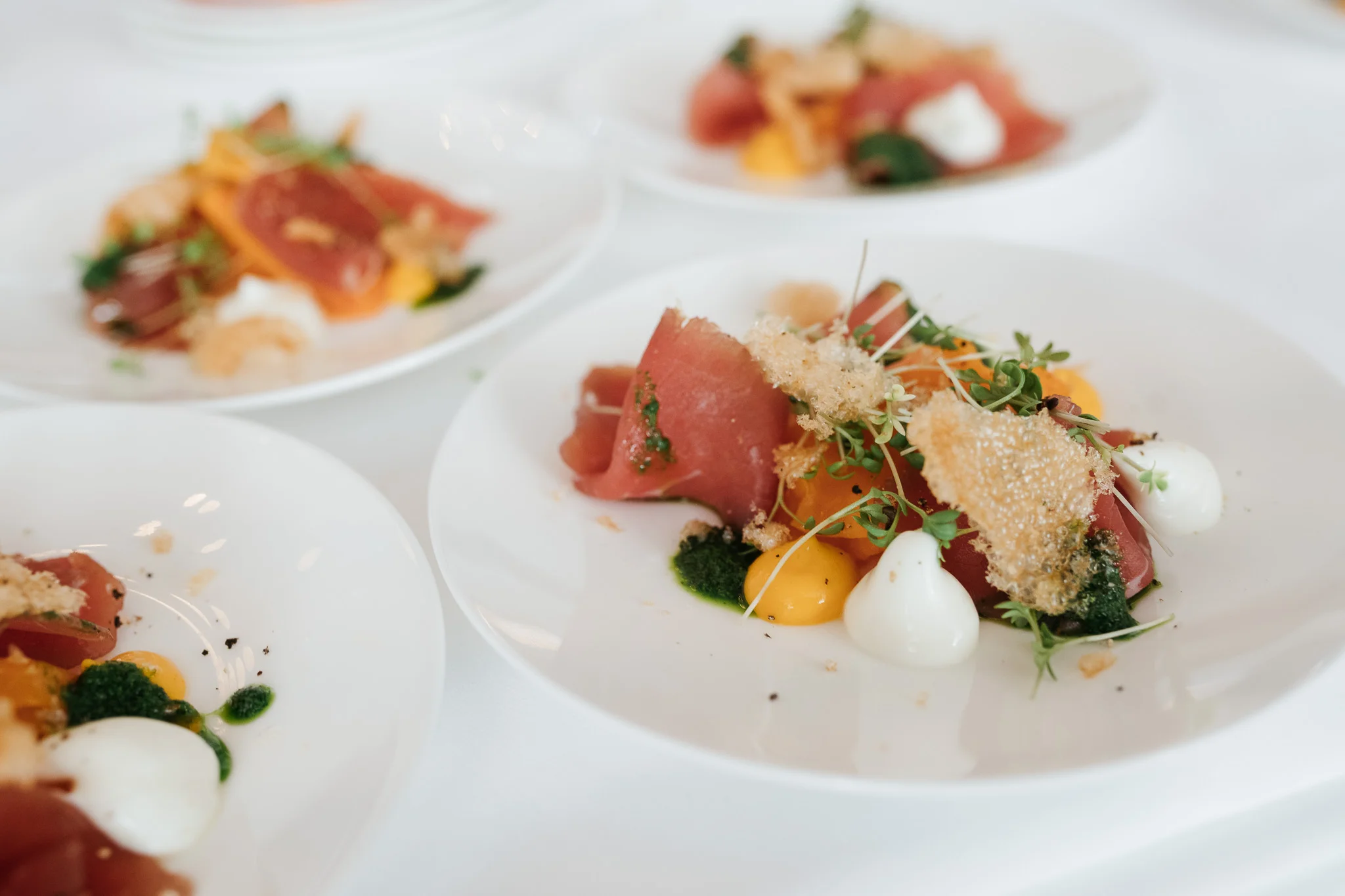 DSC_3053 - 2048px.JPG