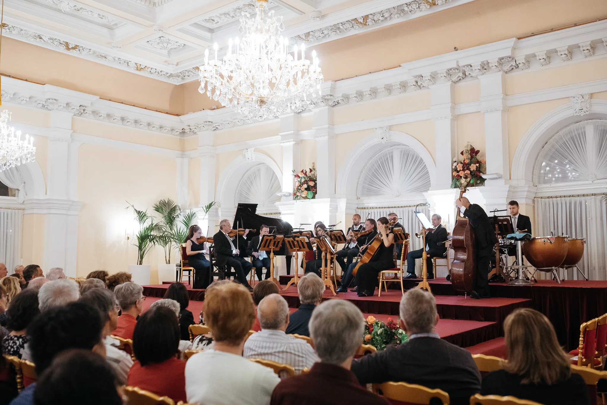 DSC_1820 - 2048px.JPG