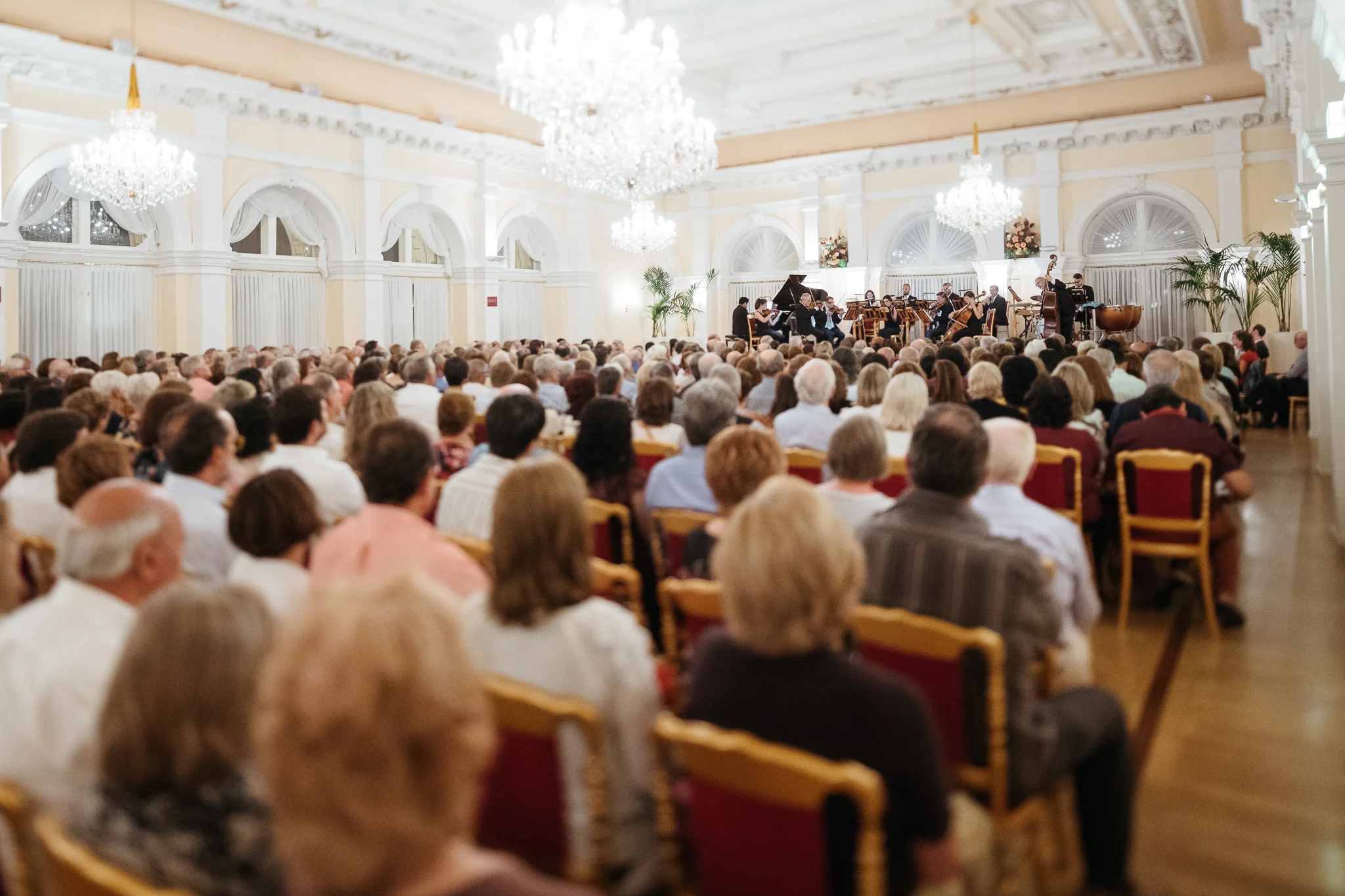 DSC_2079 - 2048px.JPG