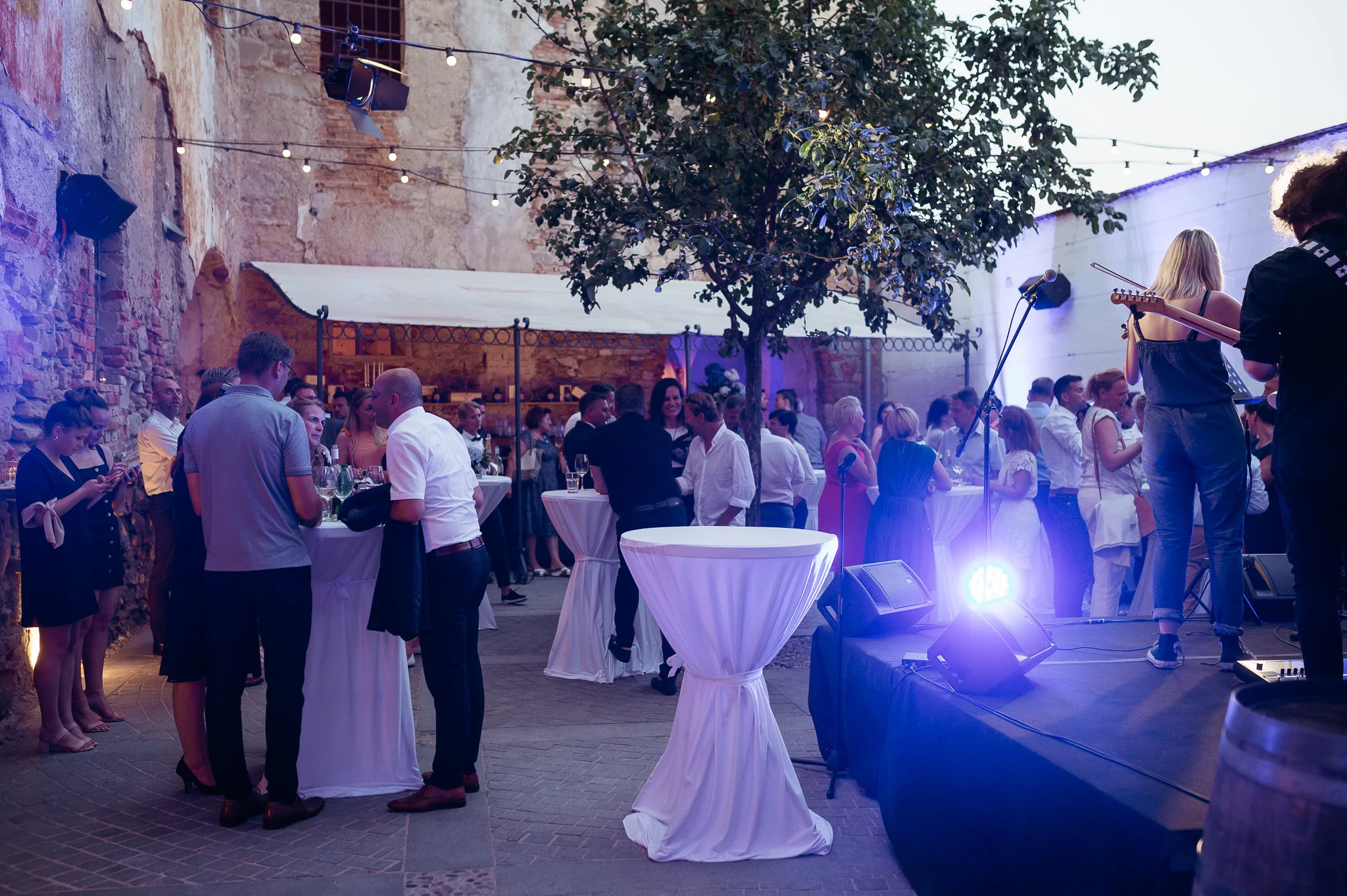 DSC_1286 - 2048px.JPG