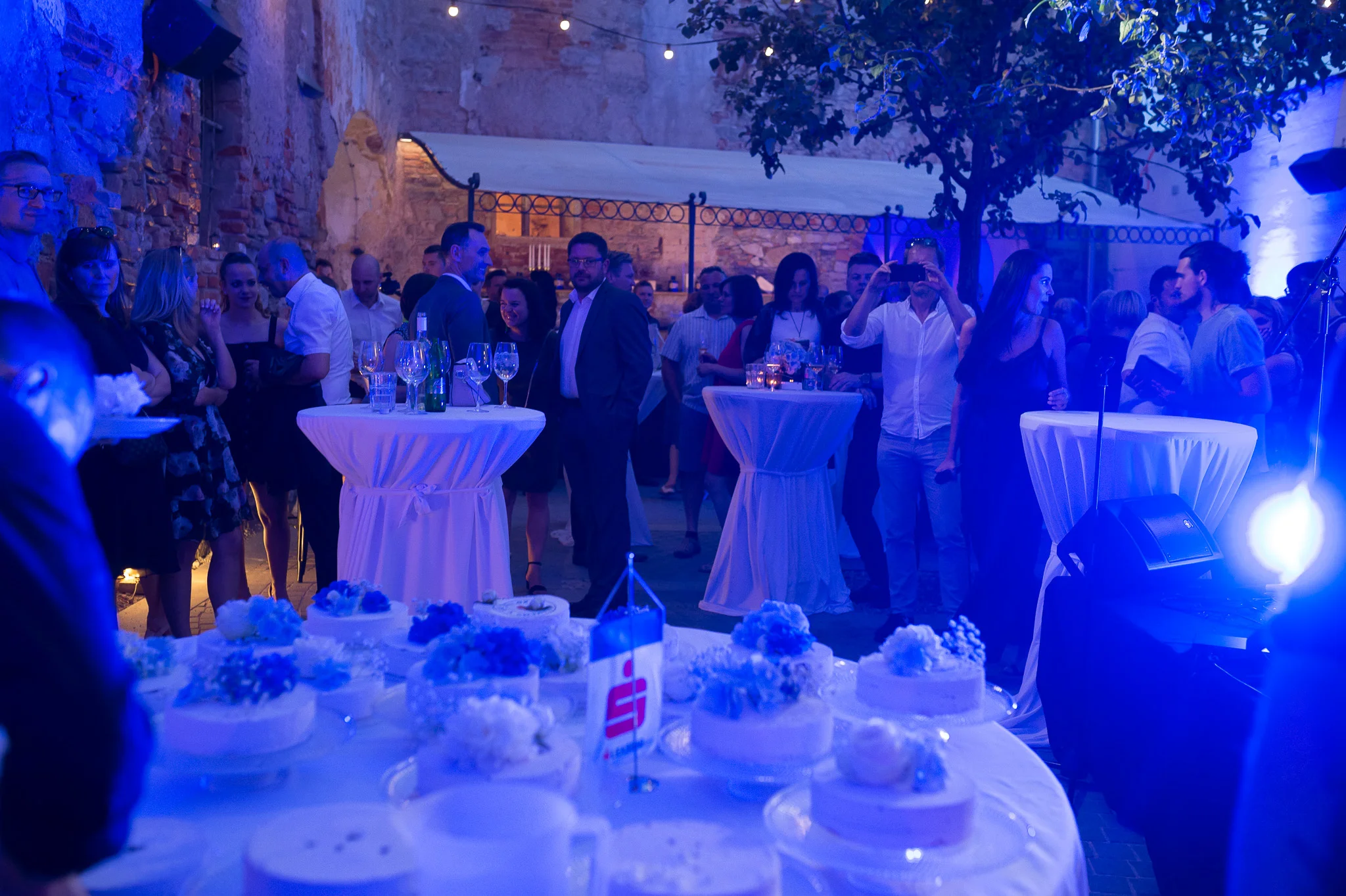 DSC_1477 - 2048px.JPG