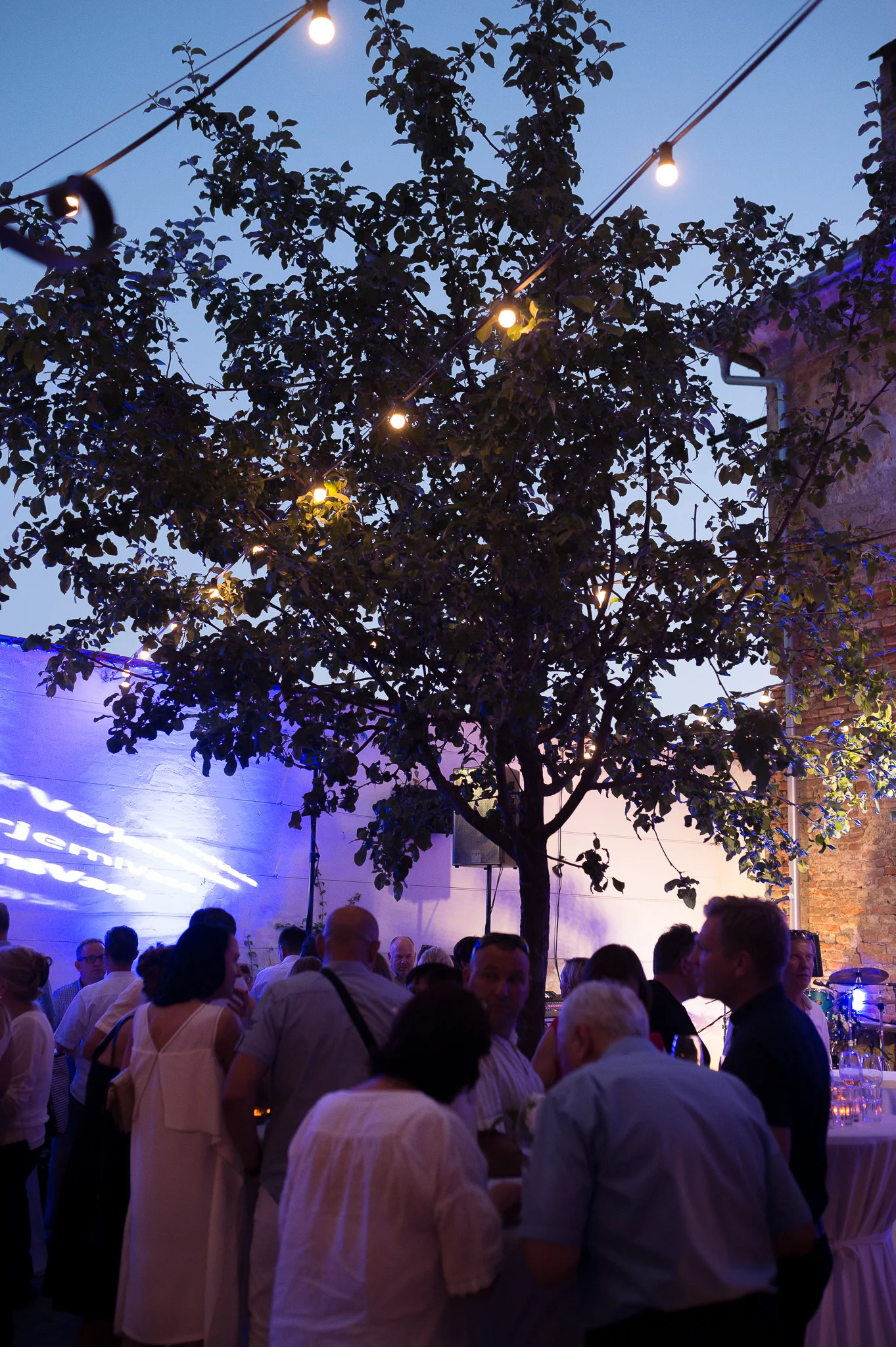 DSC_1534 - 2048px.JPG