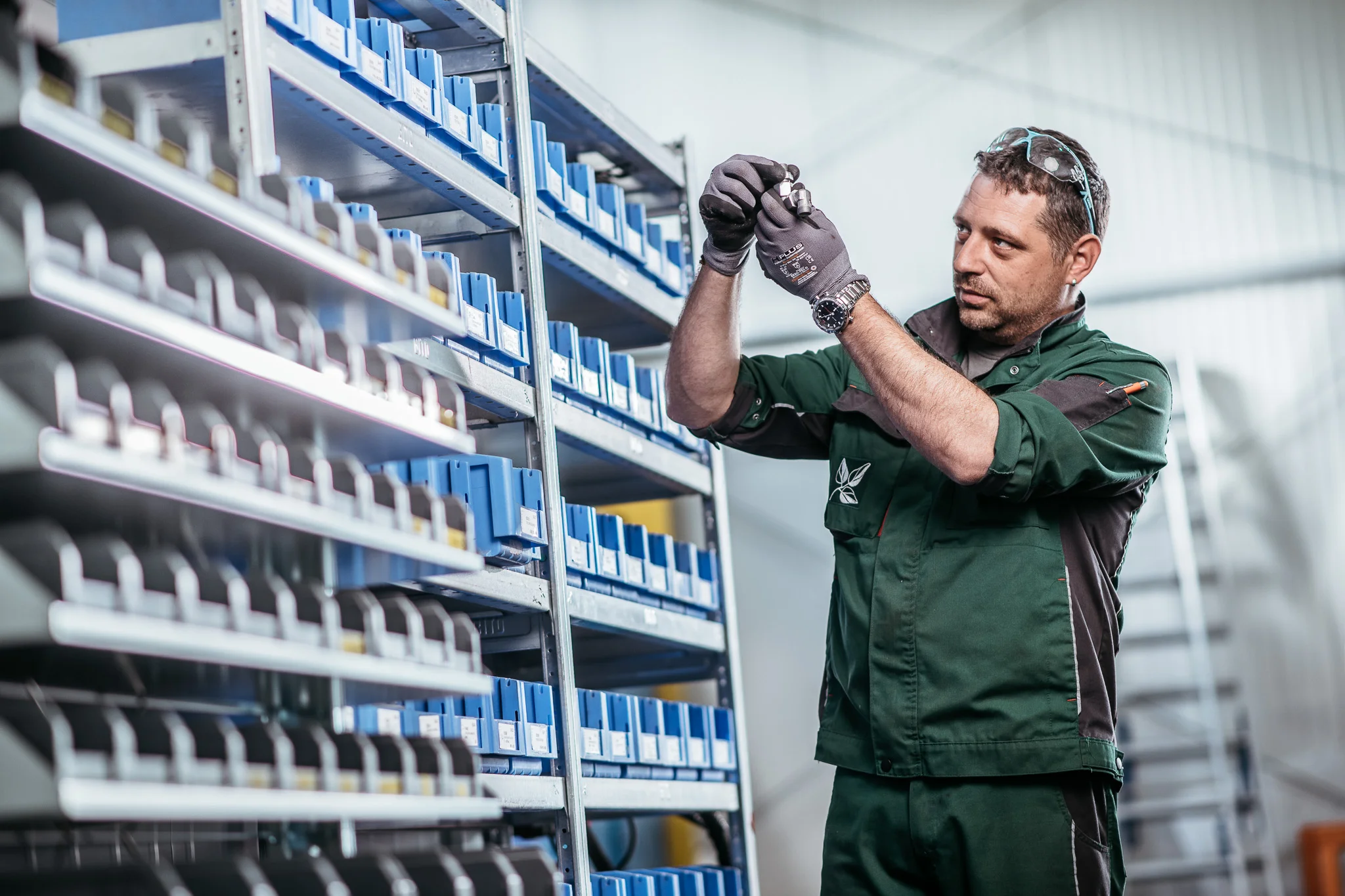 DSC_0095 - 2048px.JPG