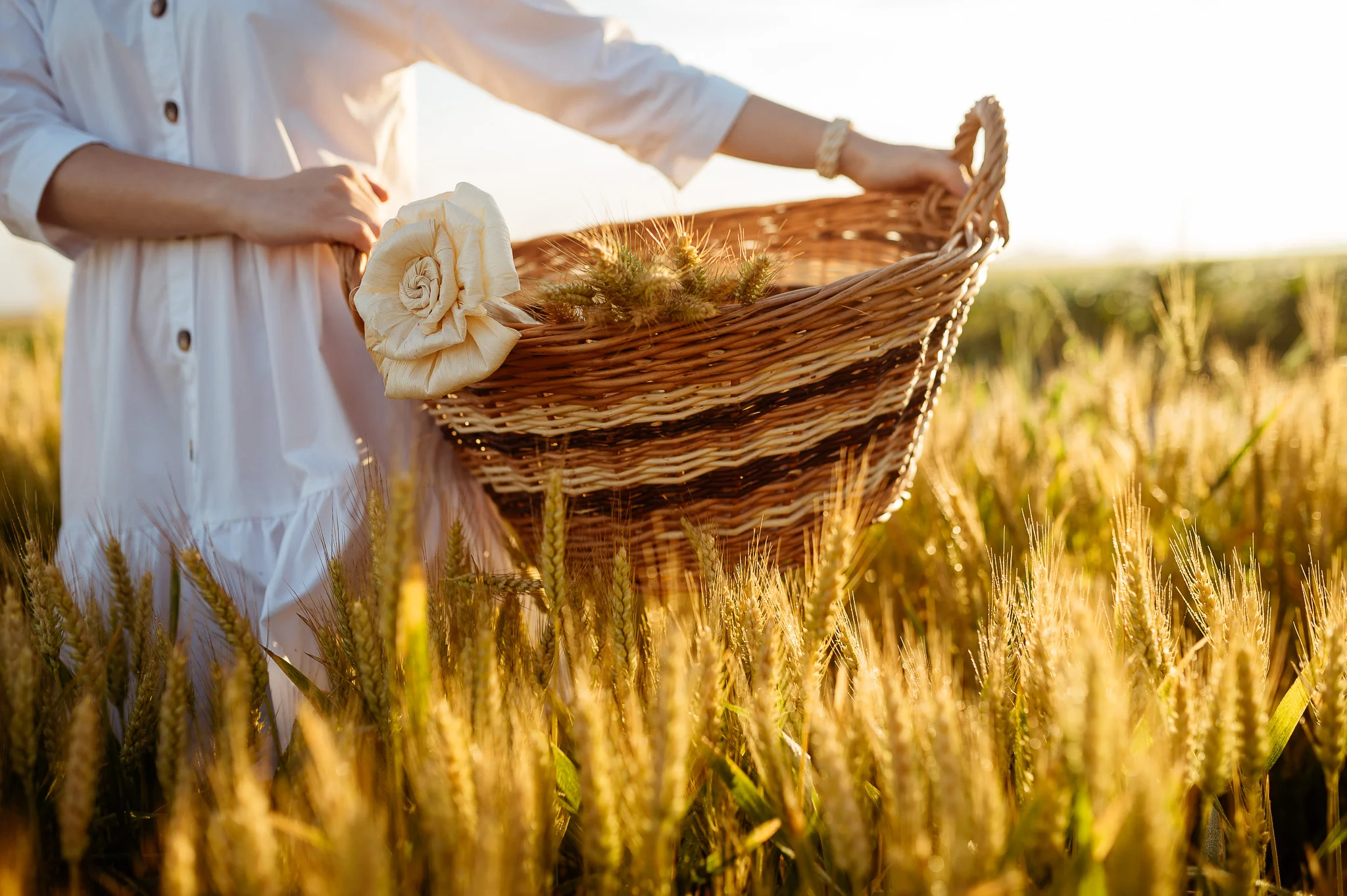 Pomelaj - 0843 - 2048px.JPG