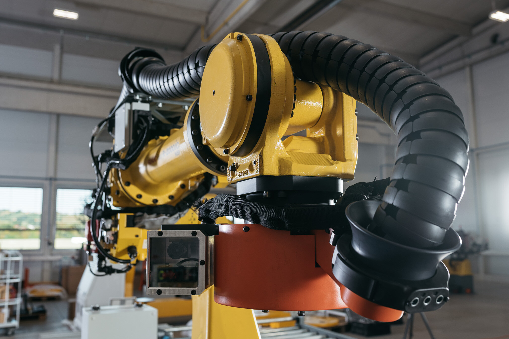 DSC_1968 - 2048px.JPG