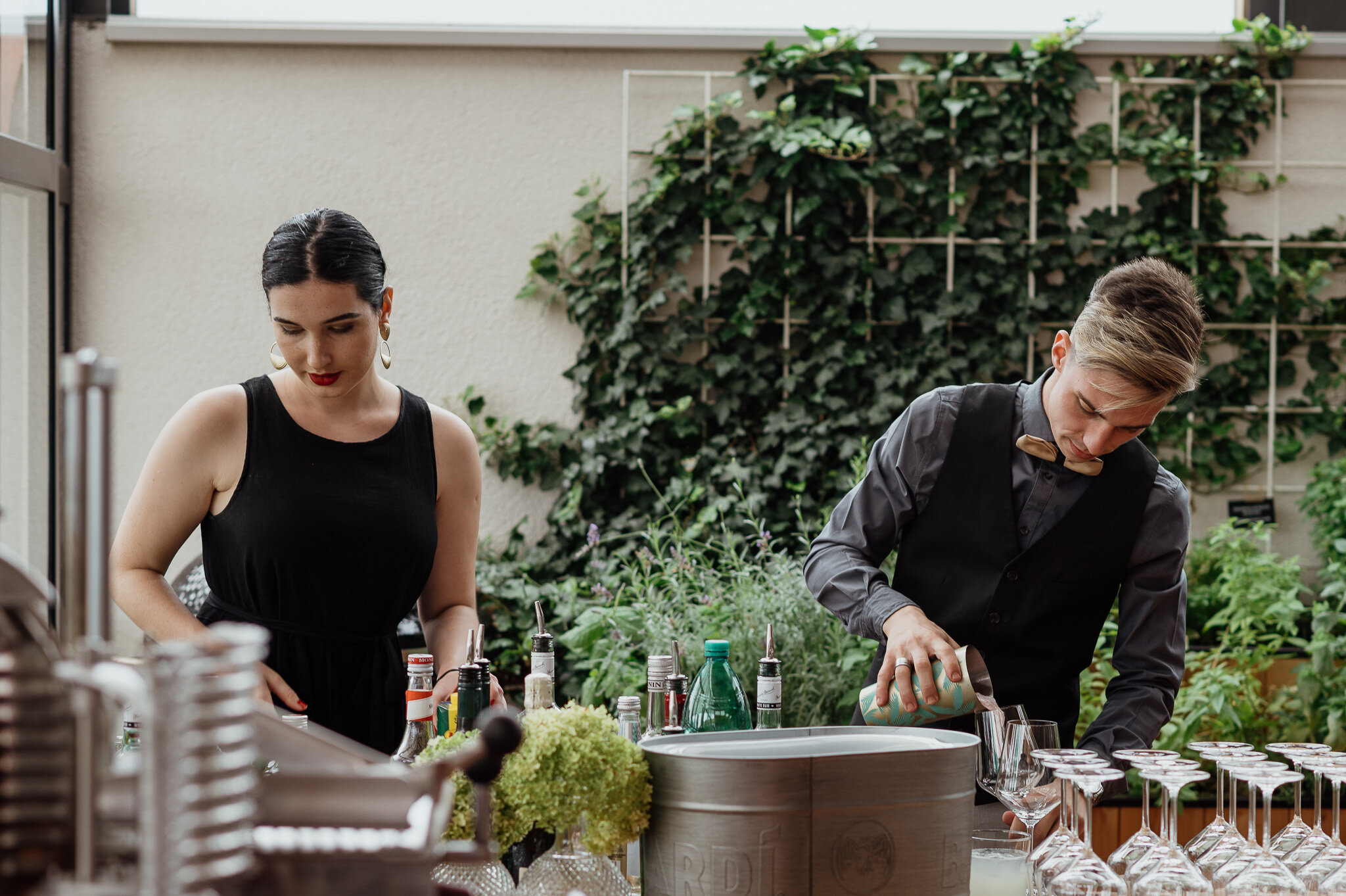 DSC_7372 - 2048px.JPG