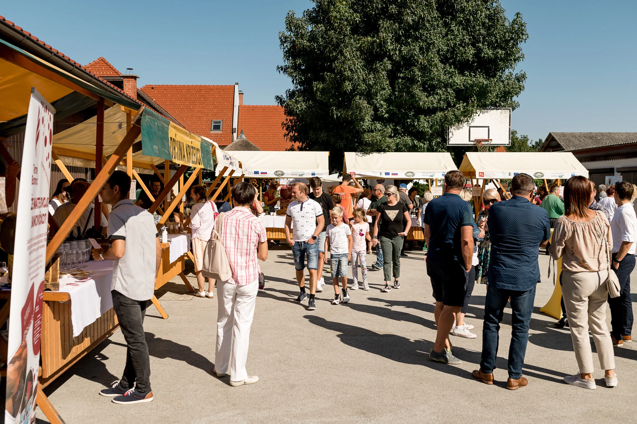 DSC_9001 - 2048px.JPG