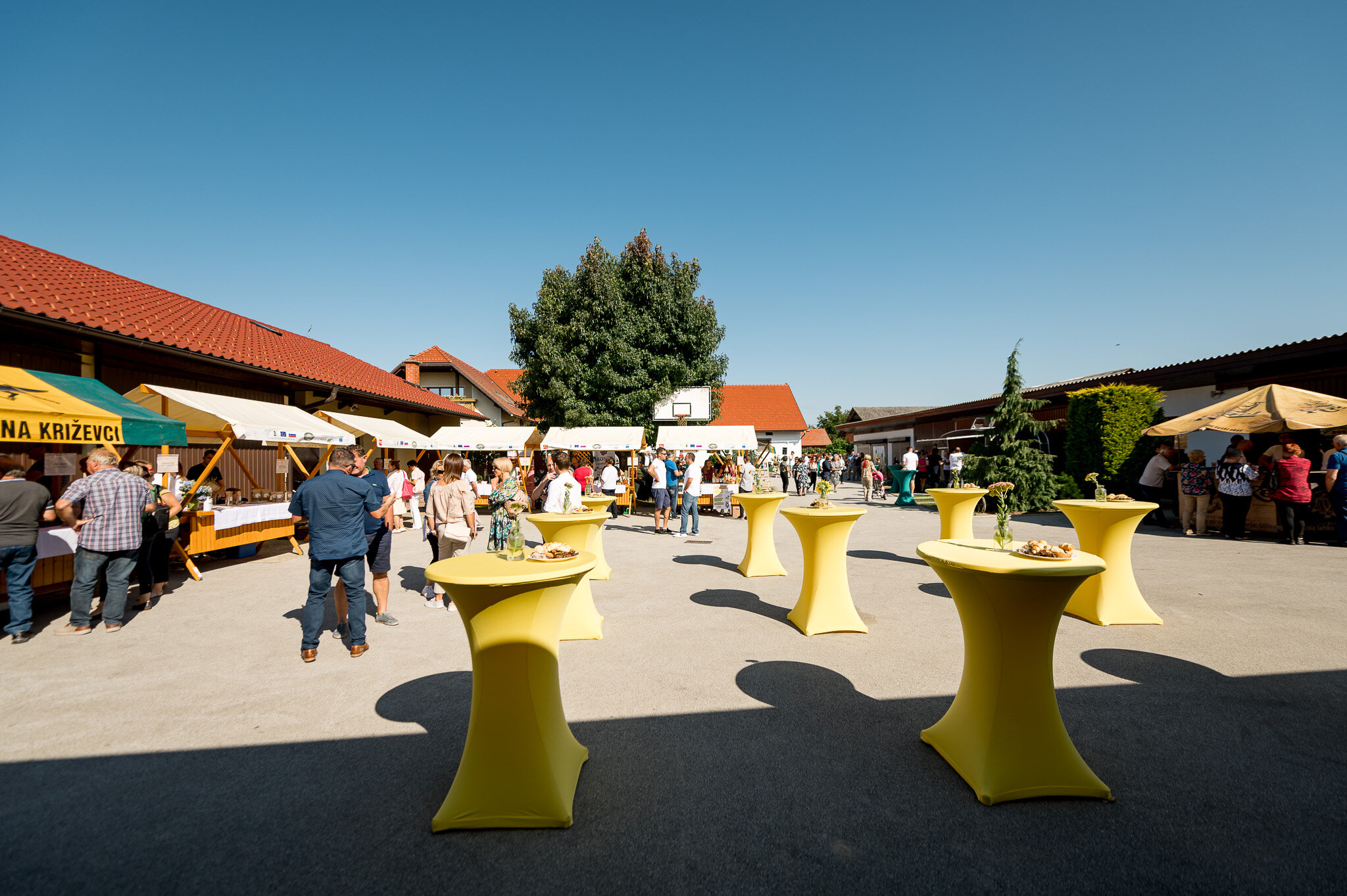 DSC_9022 - 2048px.JPG