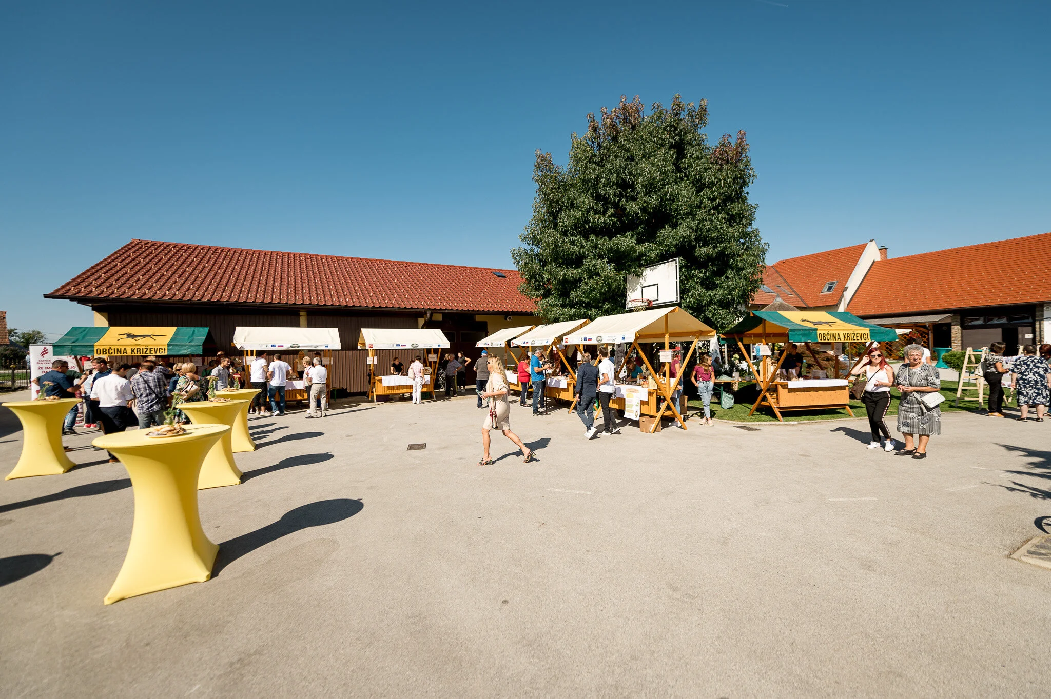 DSC_9028 - 2048px.JPG