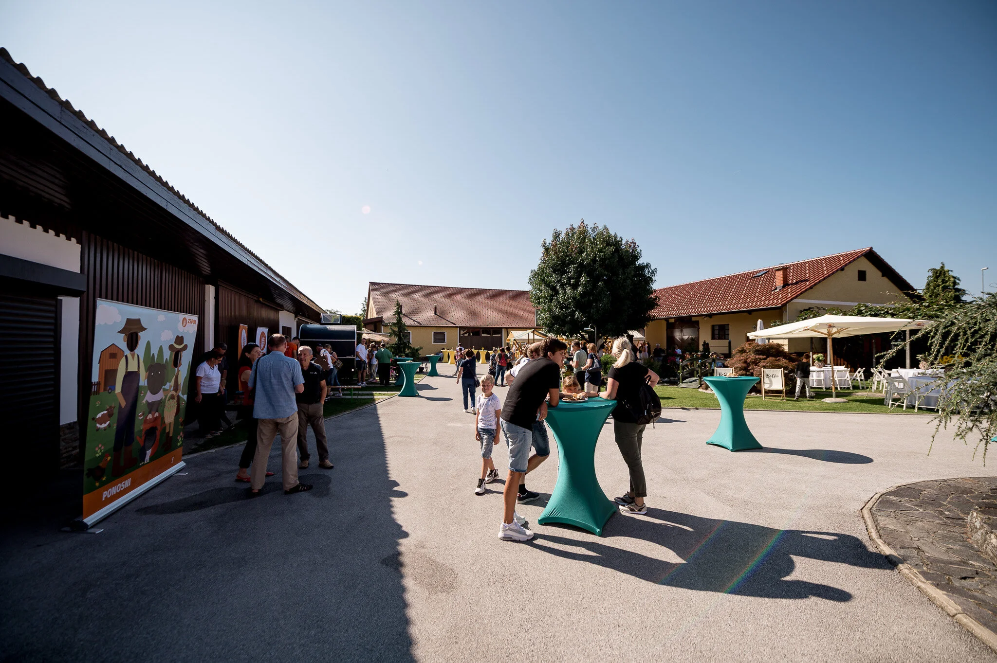 DSC_9035 - 2048px.JPG