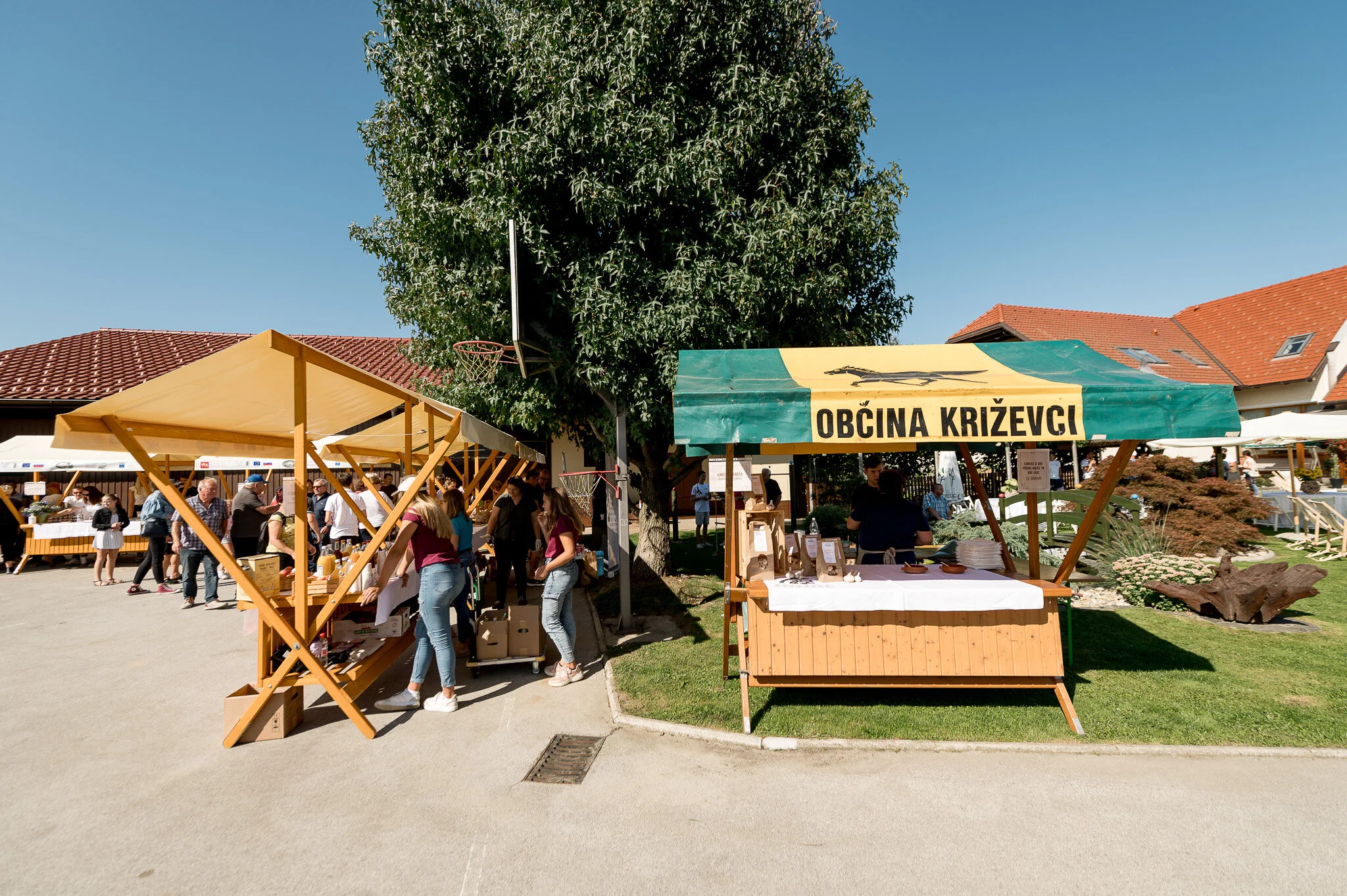 DSC_9038 - 2048px.JPG