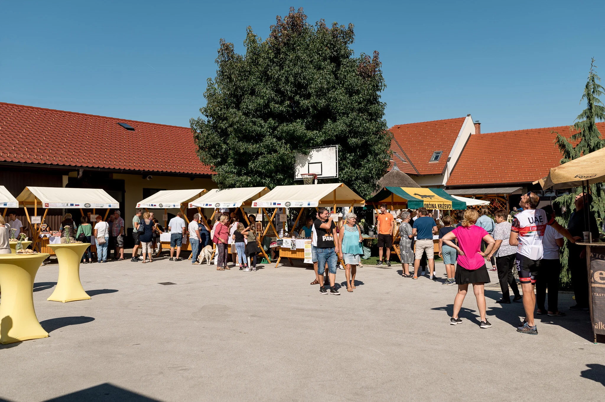 DSC_9126 - 2048px.JPG