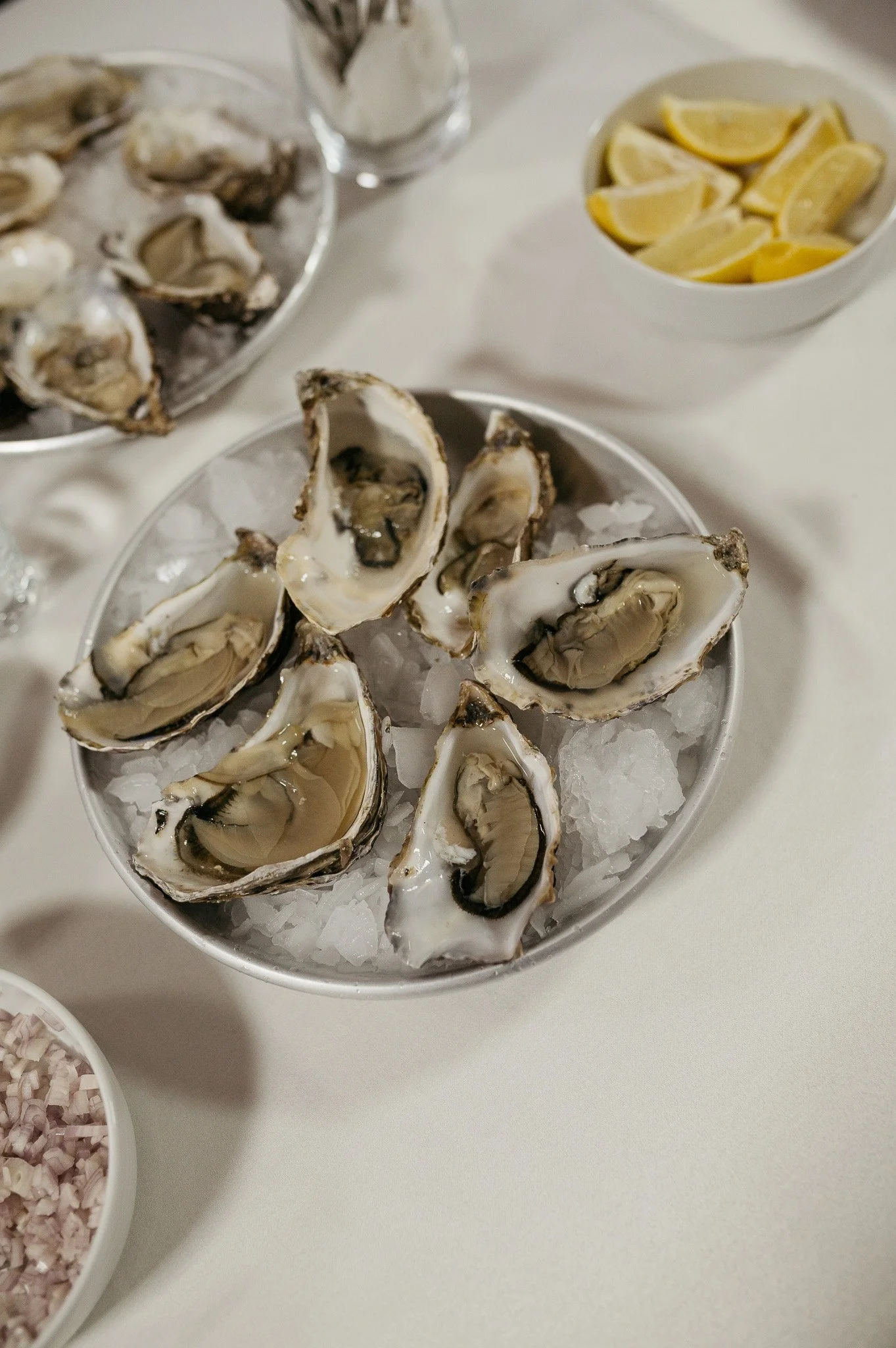 DSC_8353 - 2048px.JPG