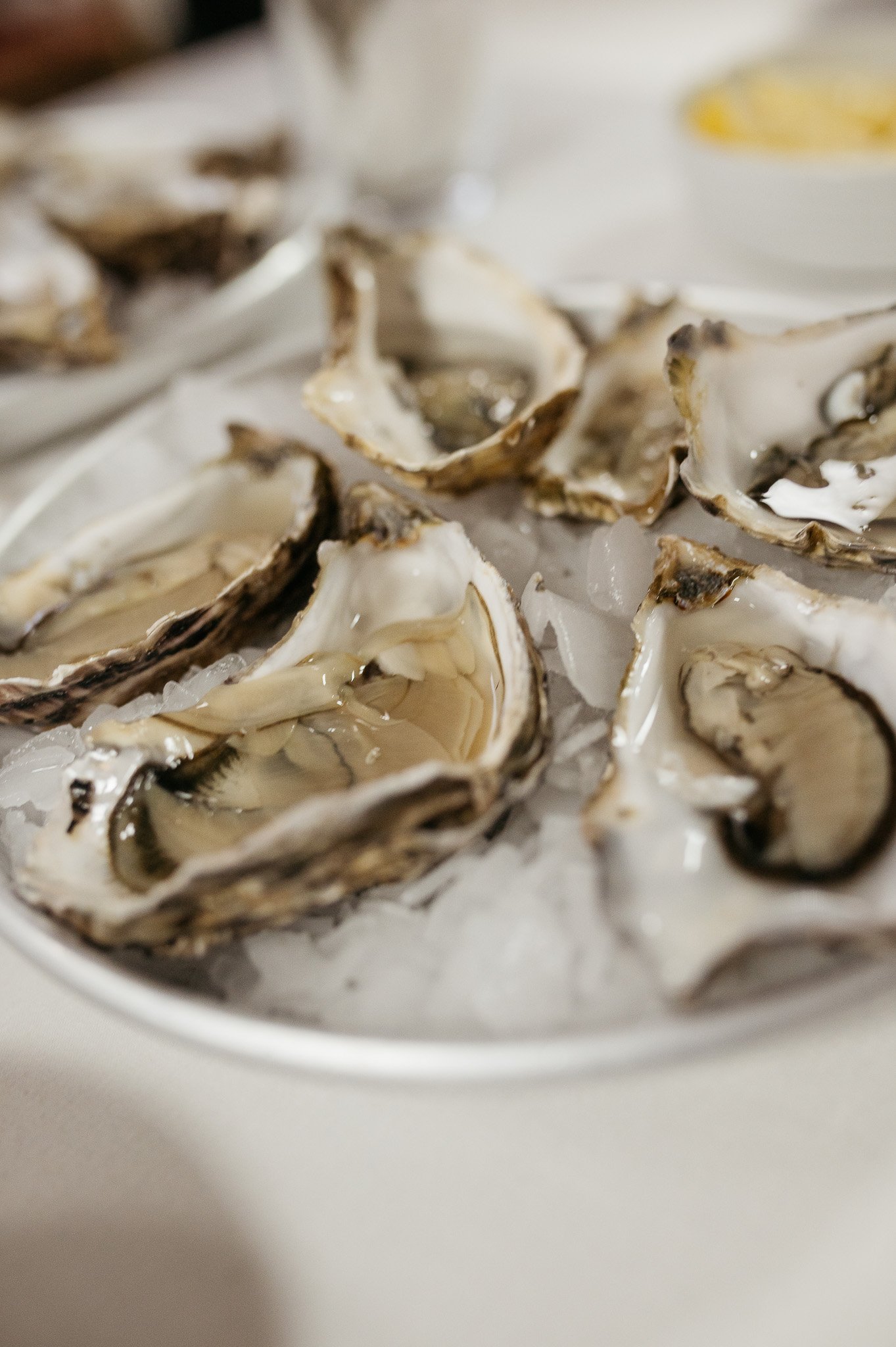 DSC_8354 - 2048px.JPG