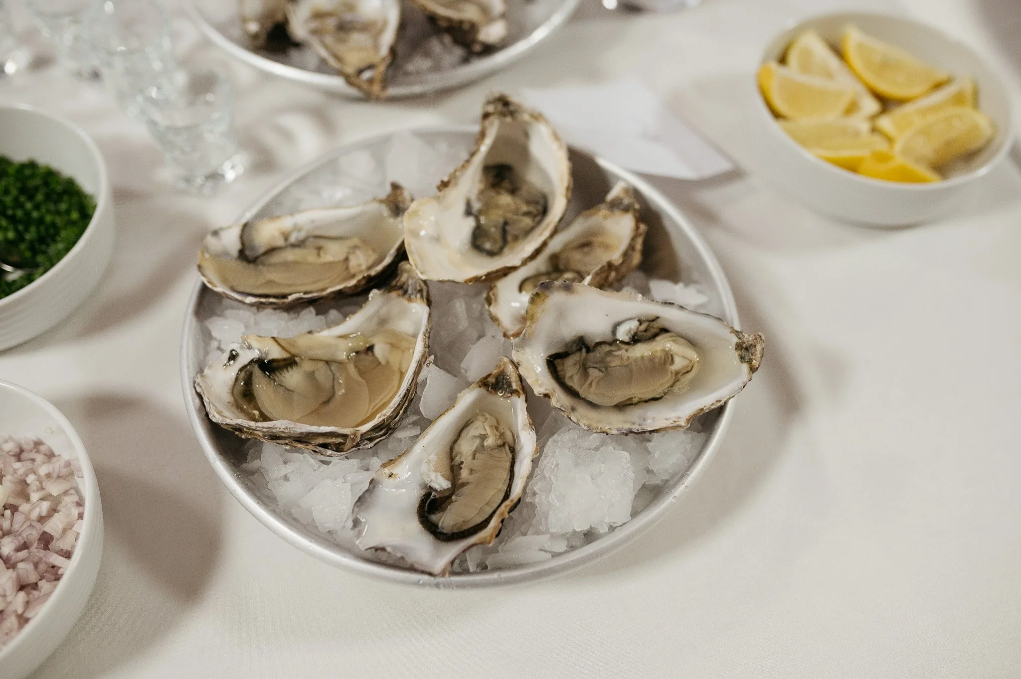 DSC_8355 - 2048px.JPG