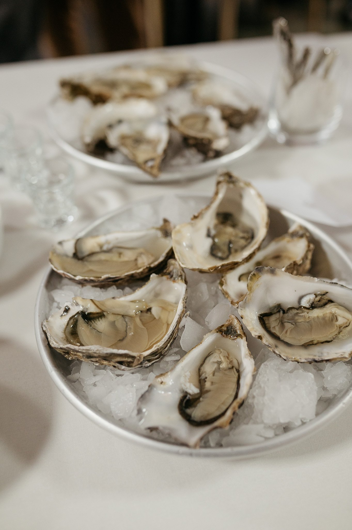 DSC_8356 - 2048px.JPG