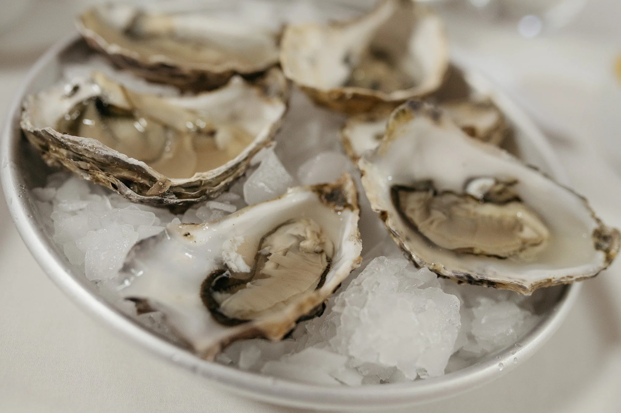 DSC_8358 - 2048px.JPG