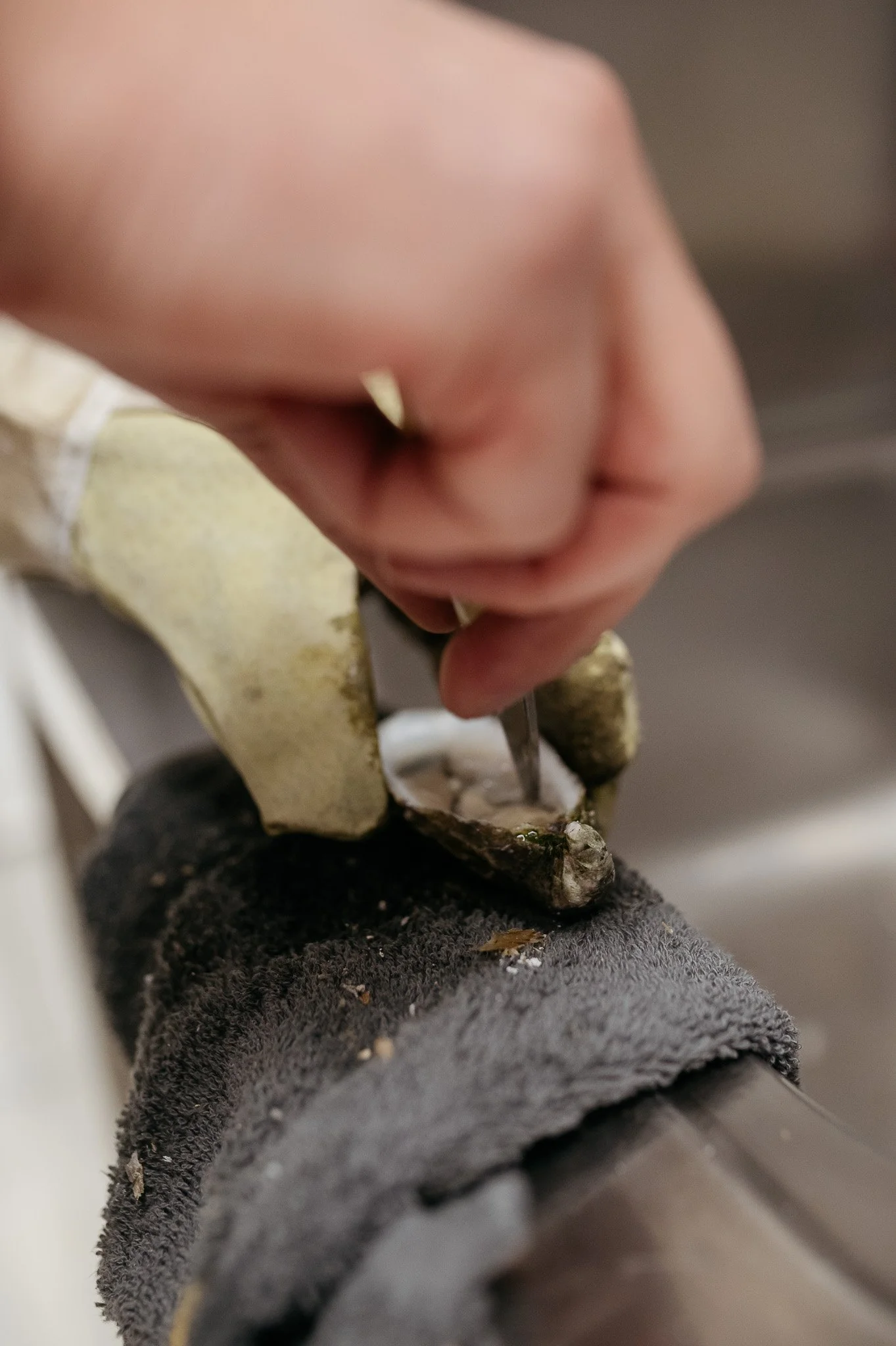 DSC_8392 - 2048px.JPG