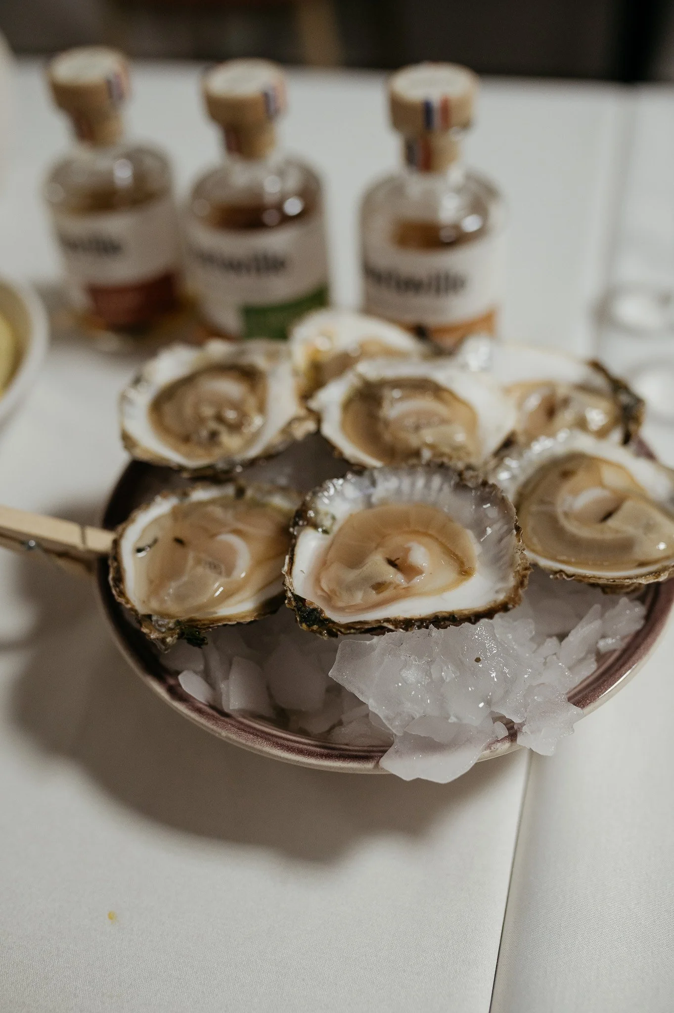 DSC_8438 - 2048px.JPG