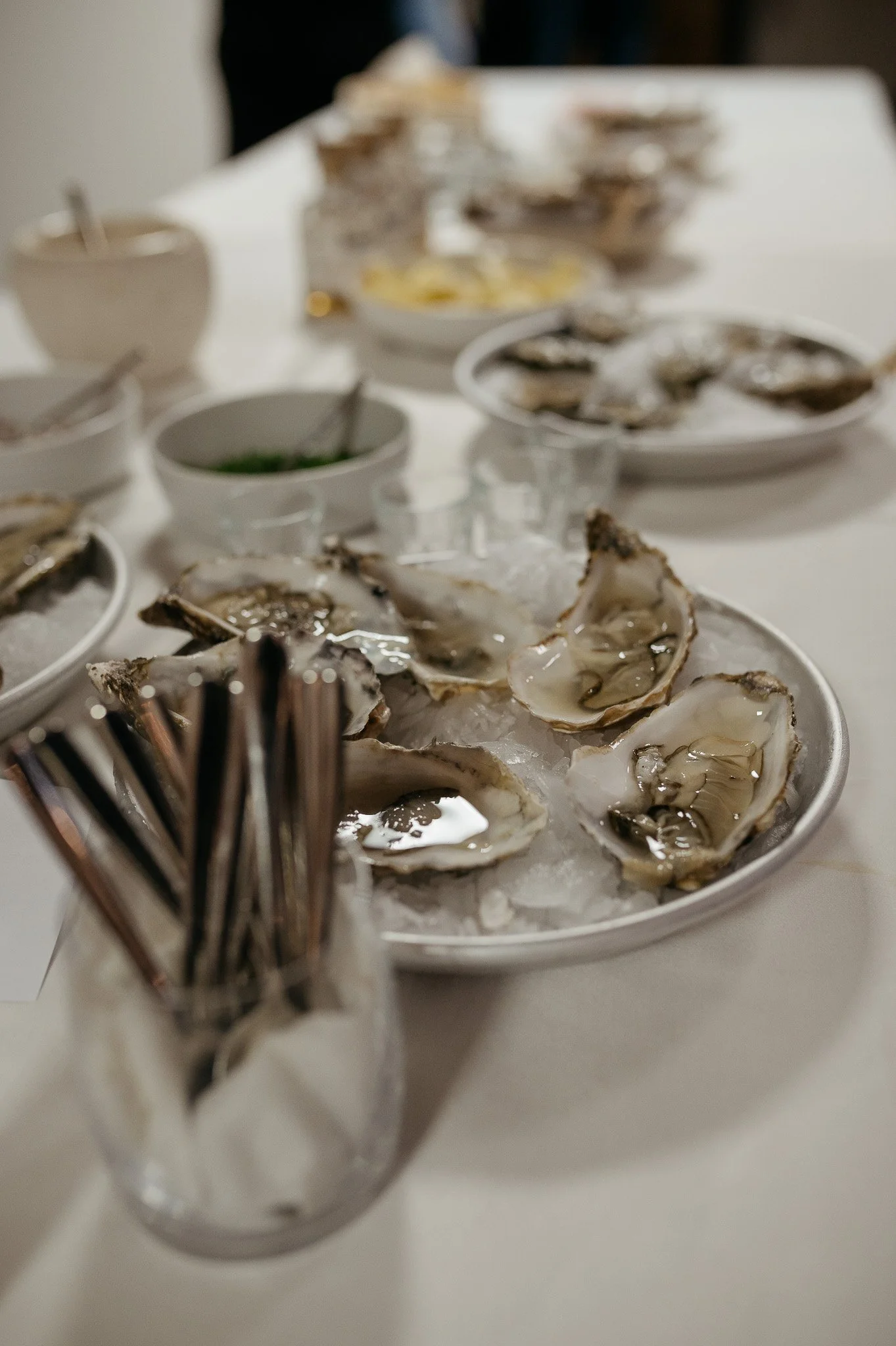 DSC_8439 - 2048px.JPG