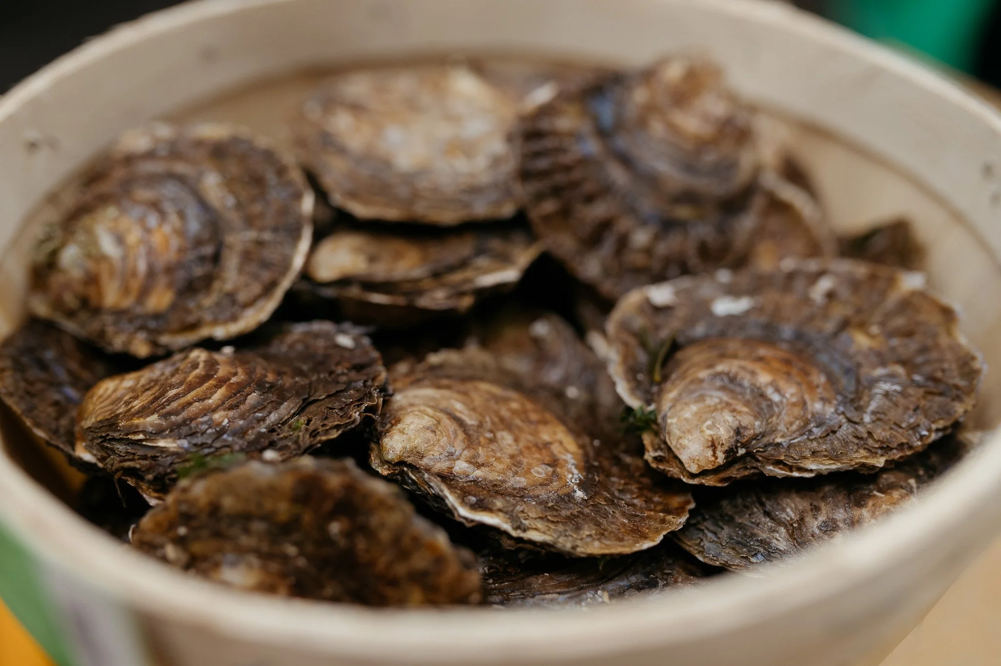 DSC_8443 - 2048px.JPG