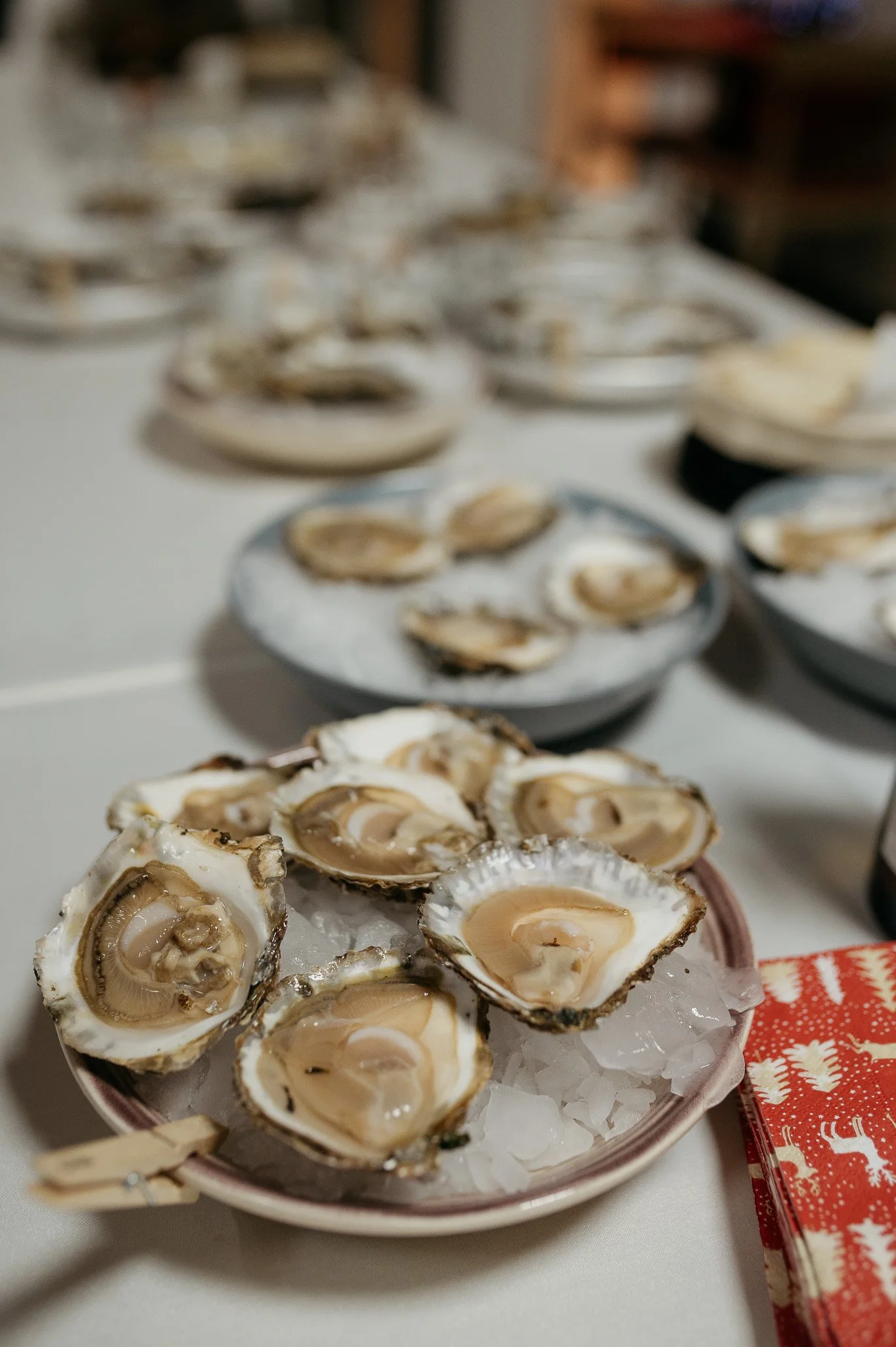 DSC_8451 - 2048px.JPG