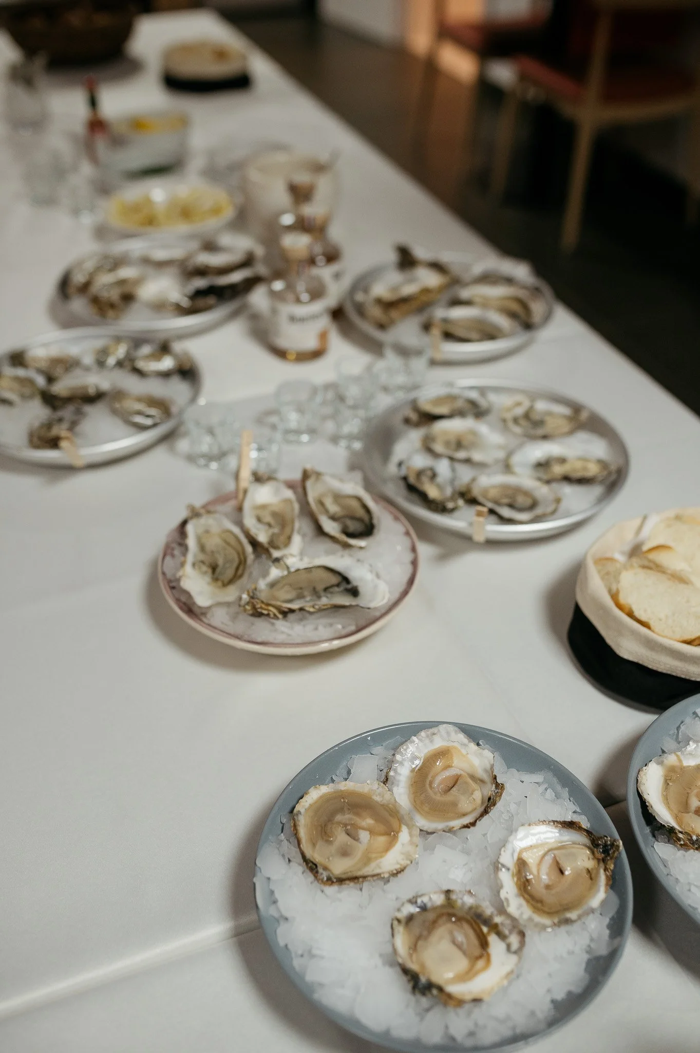 DSC_8453 - 2048px.JPG