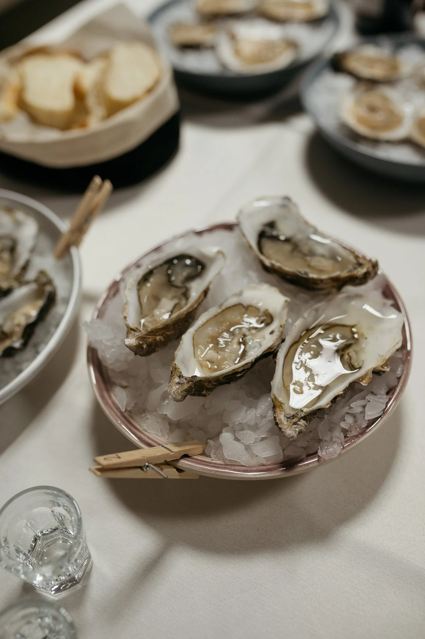 DSC_8454 - 2048px.JPG