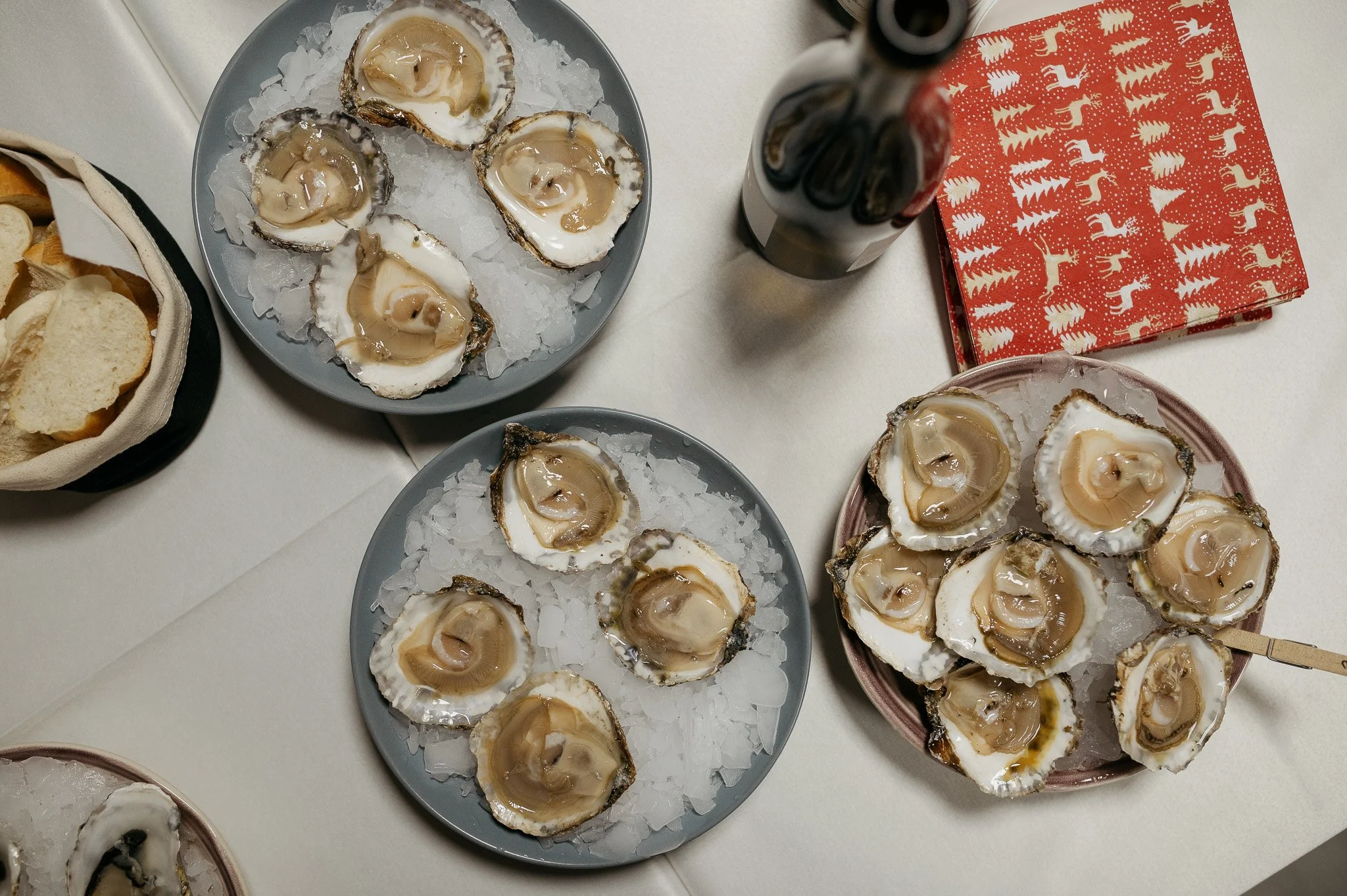 DSC_8491 - 2048px.JPG