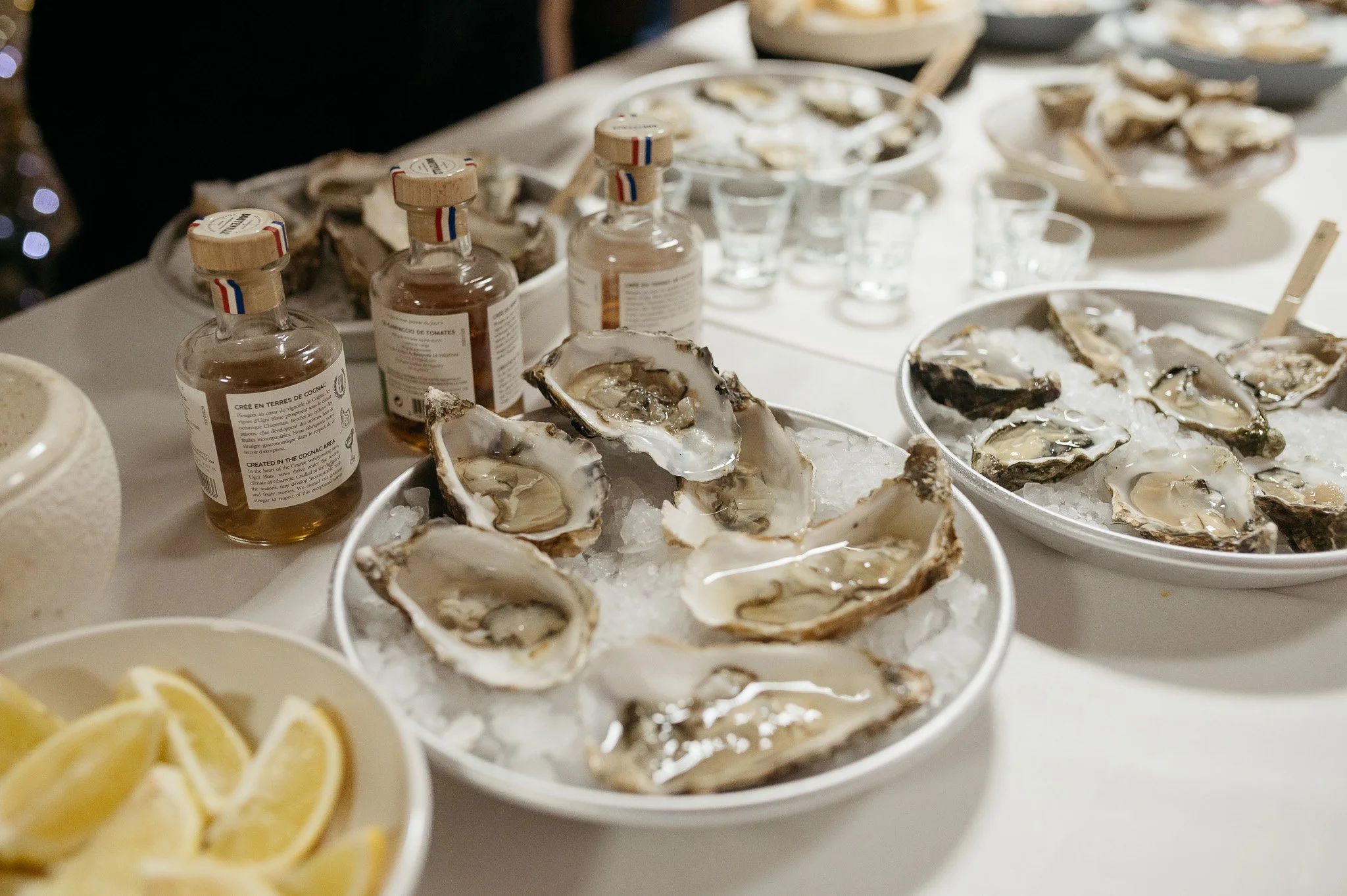 DSC_8501 - 2048px.JPG