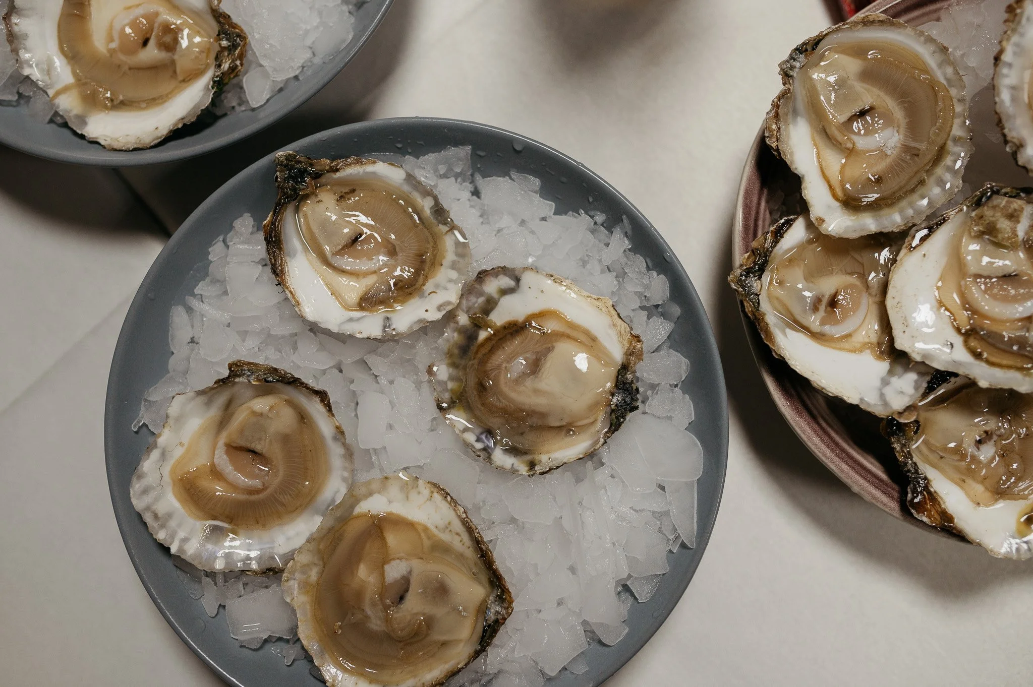 DSC_8505 - 2048px.JPG