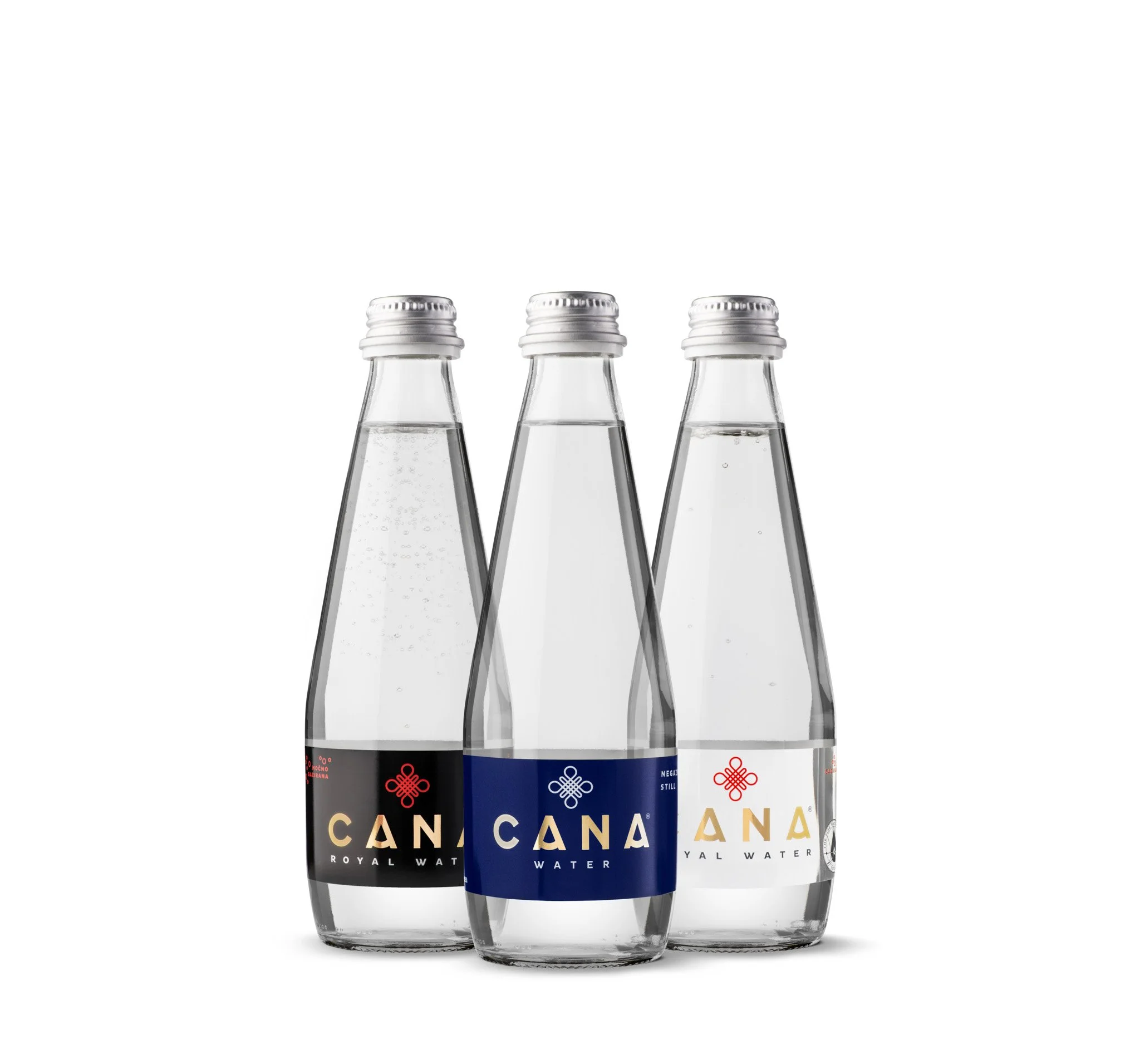 Cana Royal Water - 330ml.jpeg