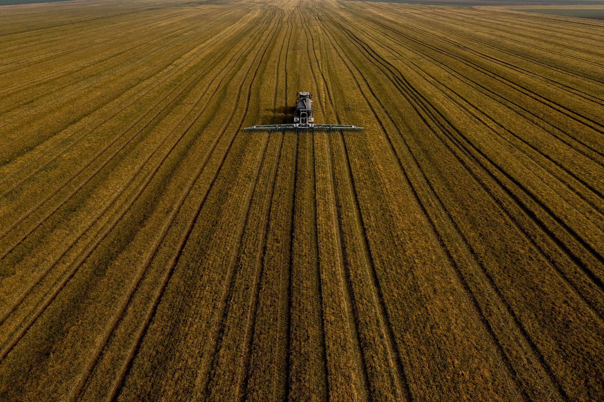 DJI_0646 - 2048px.JPG