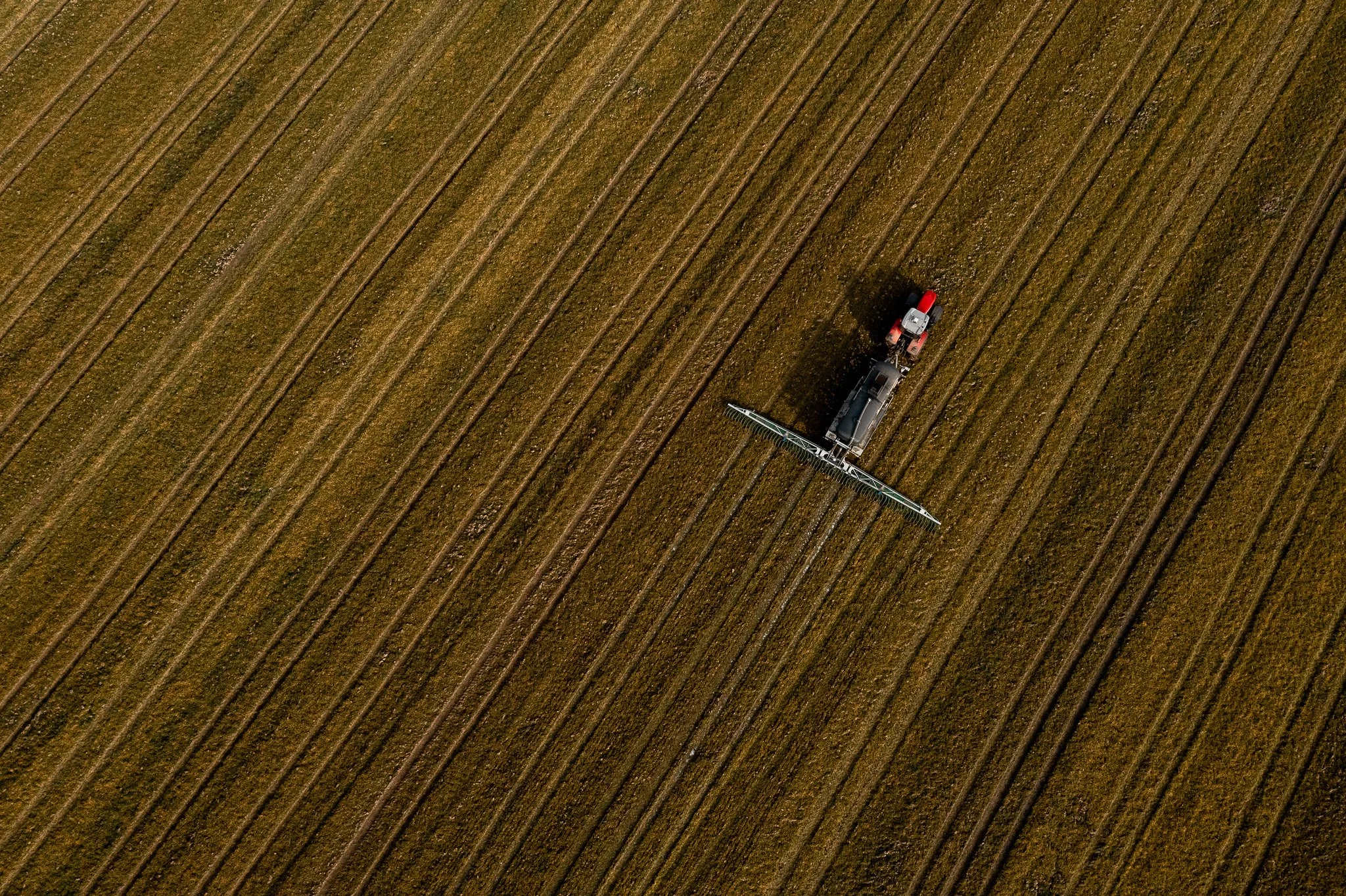 DJI_0656 - 2048px.JPG