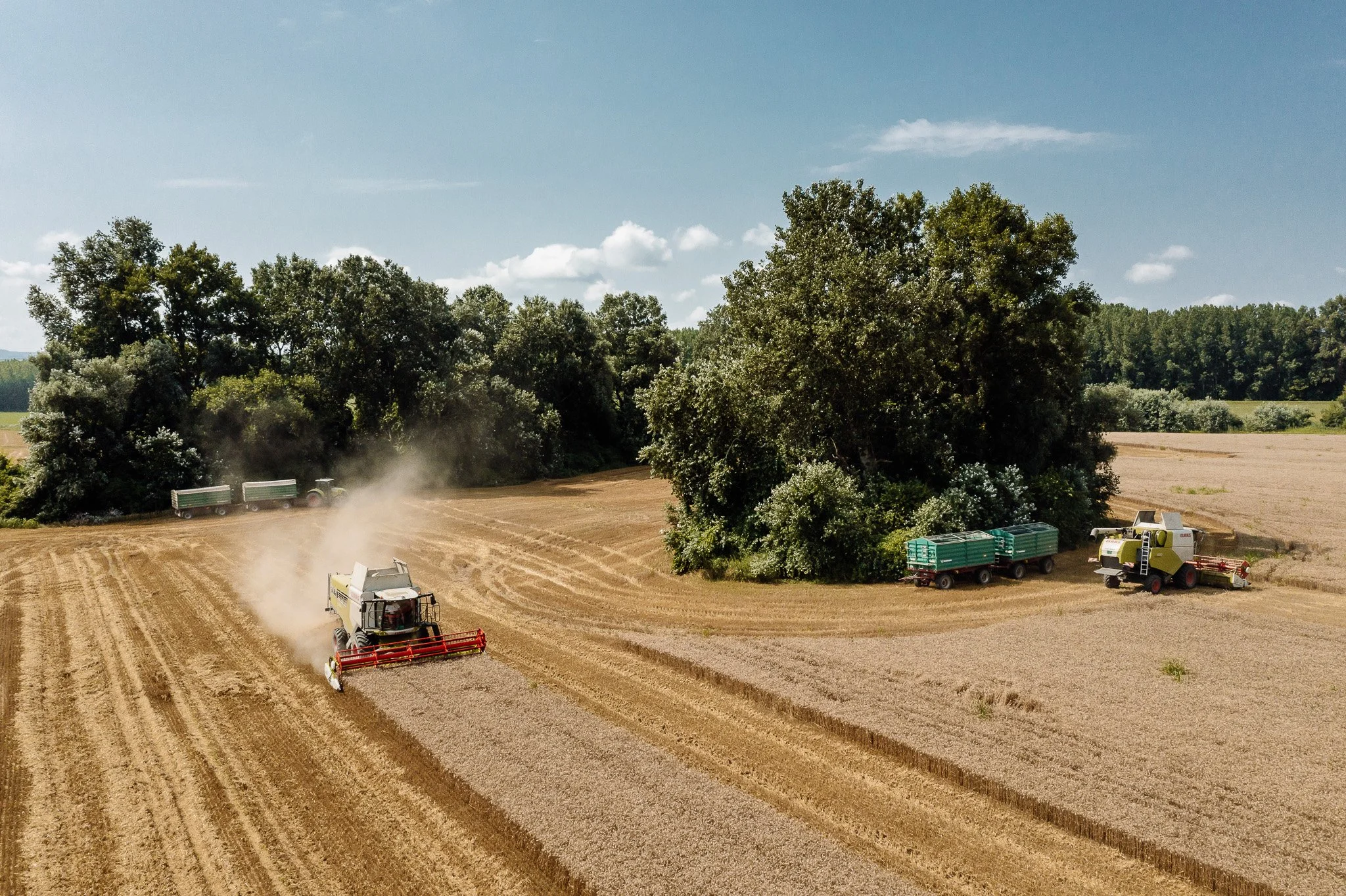 DJI_0068 - 2048px.JPG