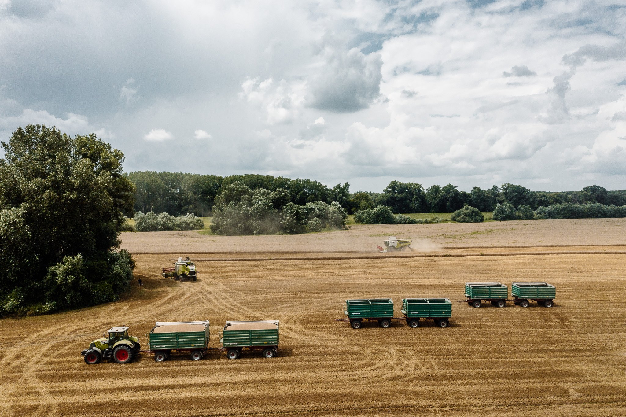 DJI_0135 - 2048px.JPG