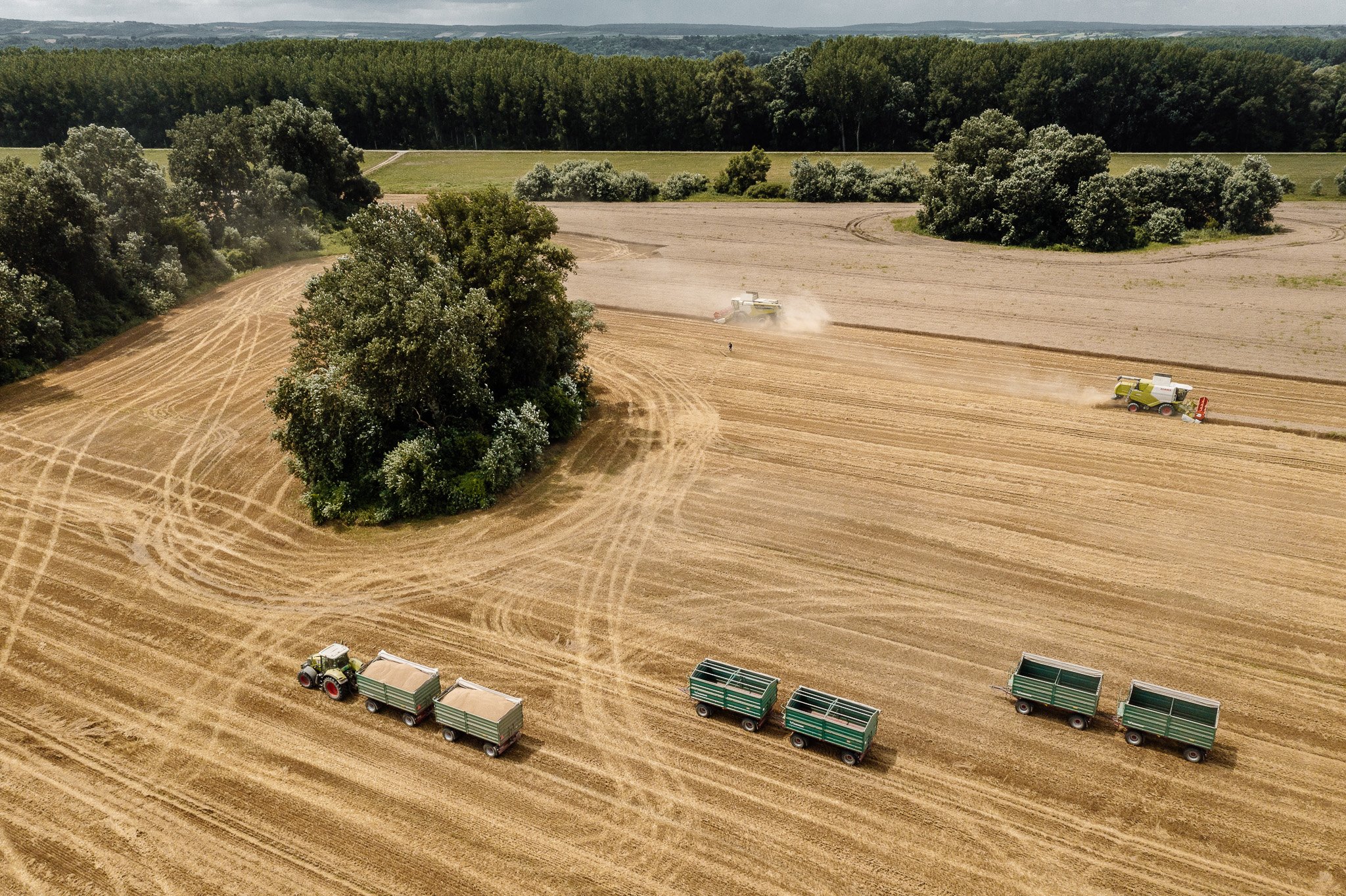 DJI_0146 - 2048px.JPG