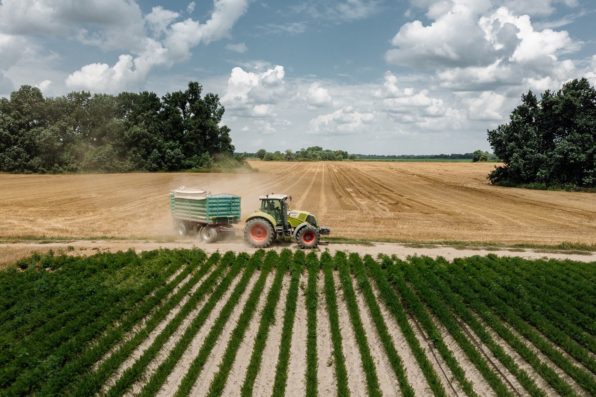 DJI_0162 - 2048px.JPG