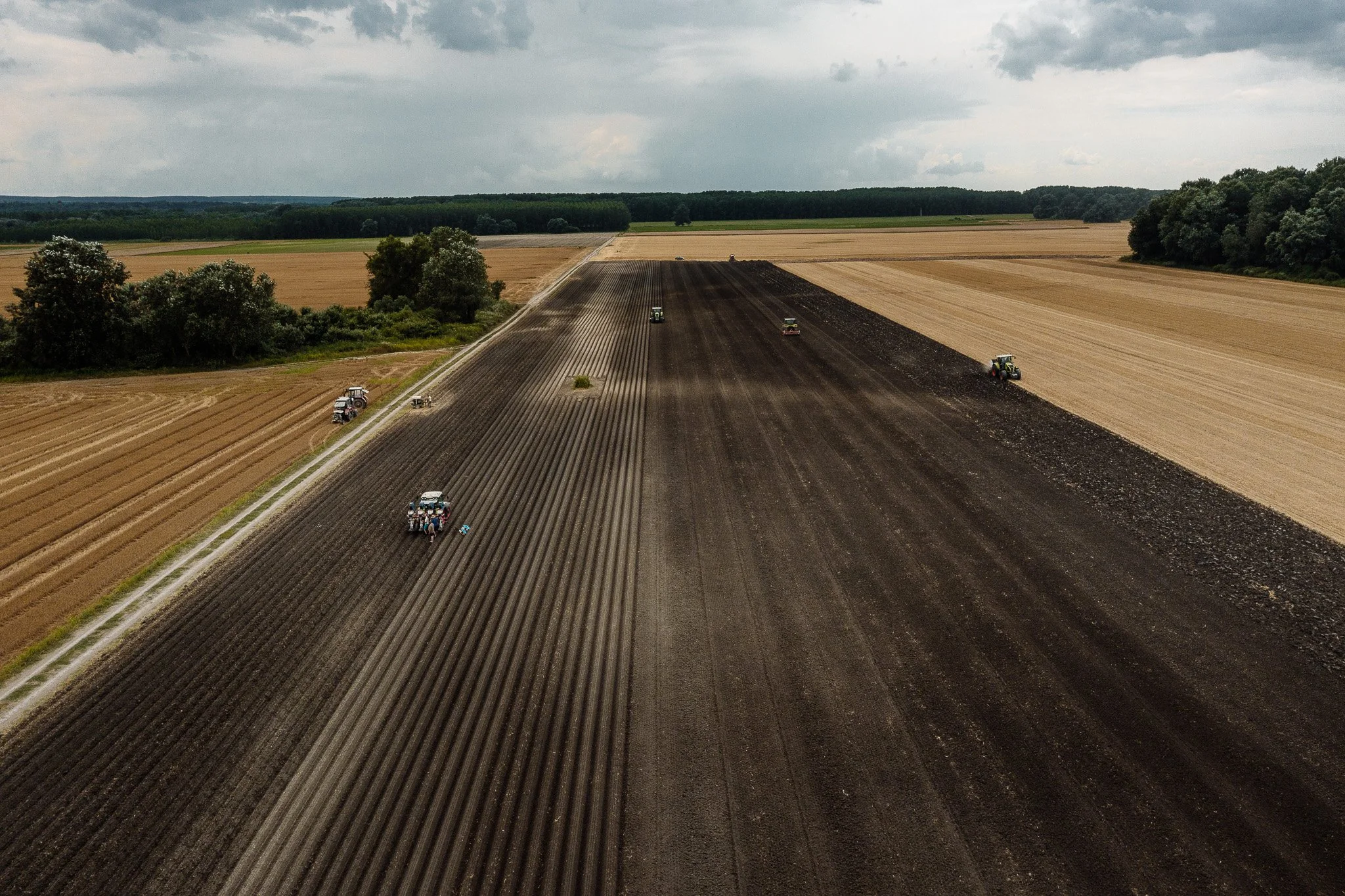 DJI_0212 - 2048px.JPG
