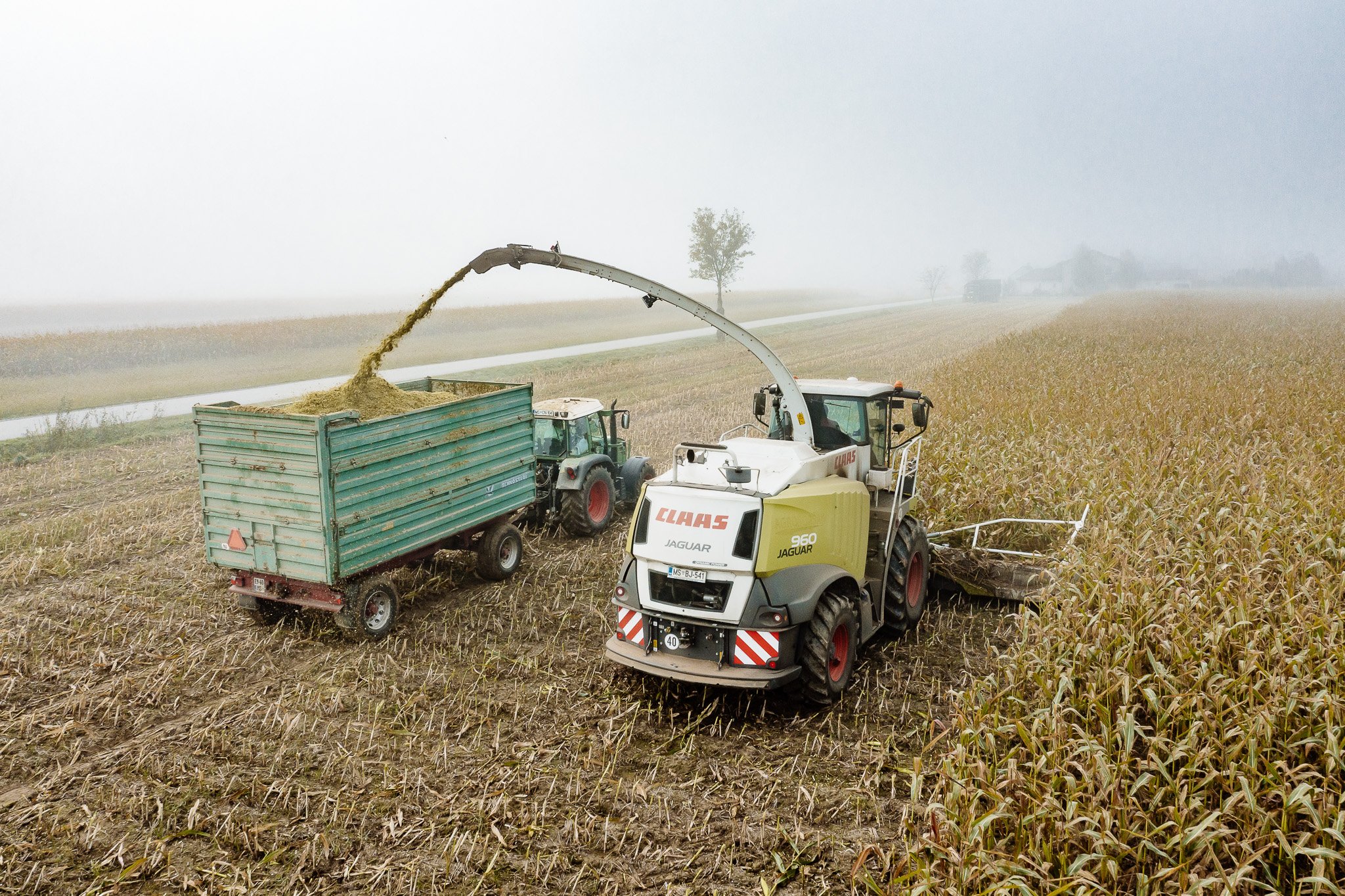 DJI_0280 - 2048px.JPG