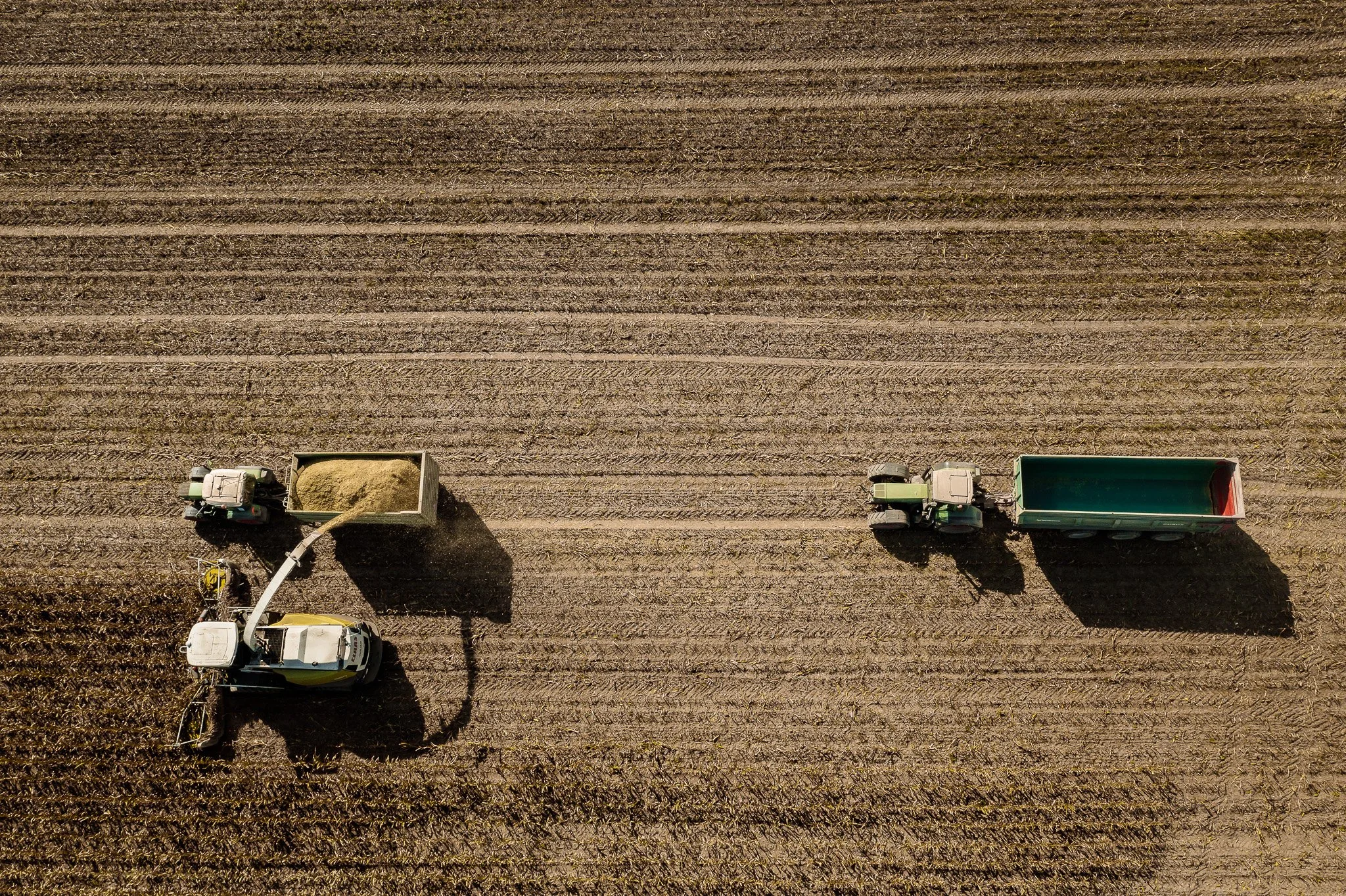 DJI_0399 - 2048px.JPG